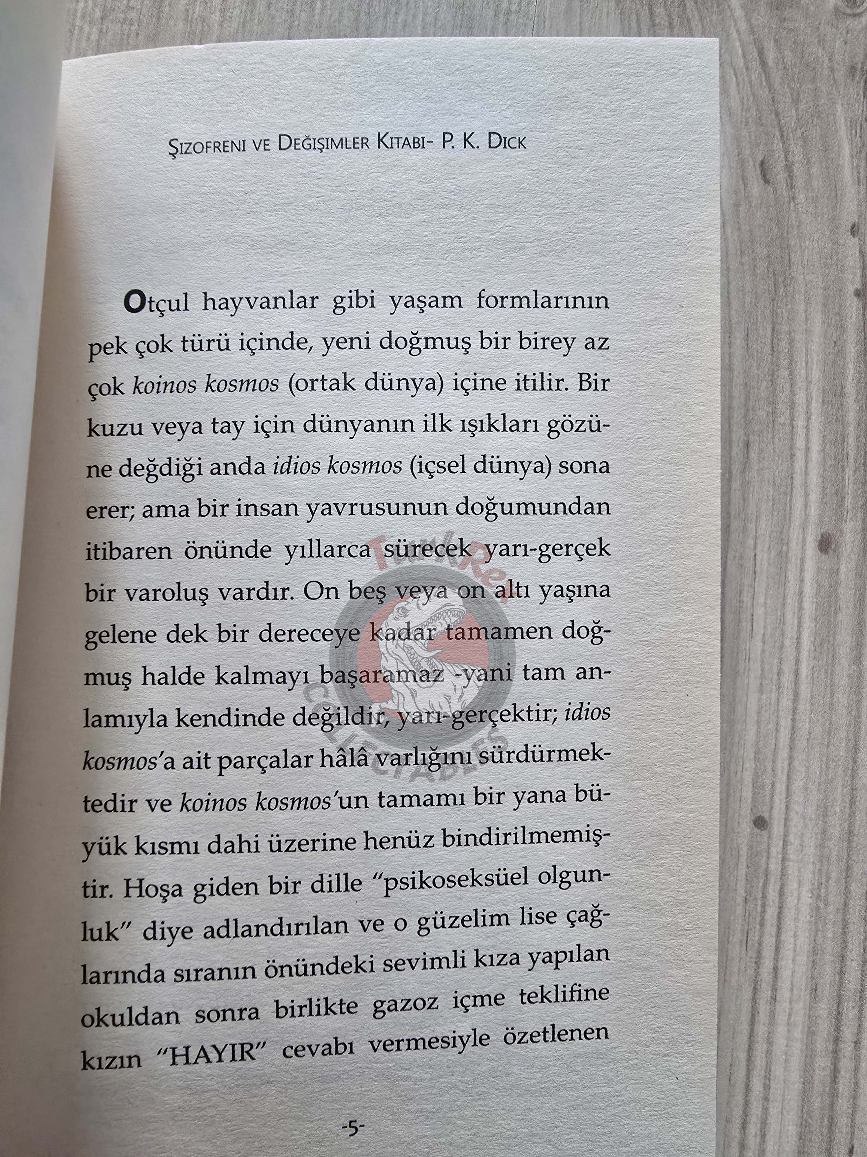 Philip K. Dick – Schizophrenia and Changes 2015 Turkish Book Turkey
