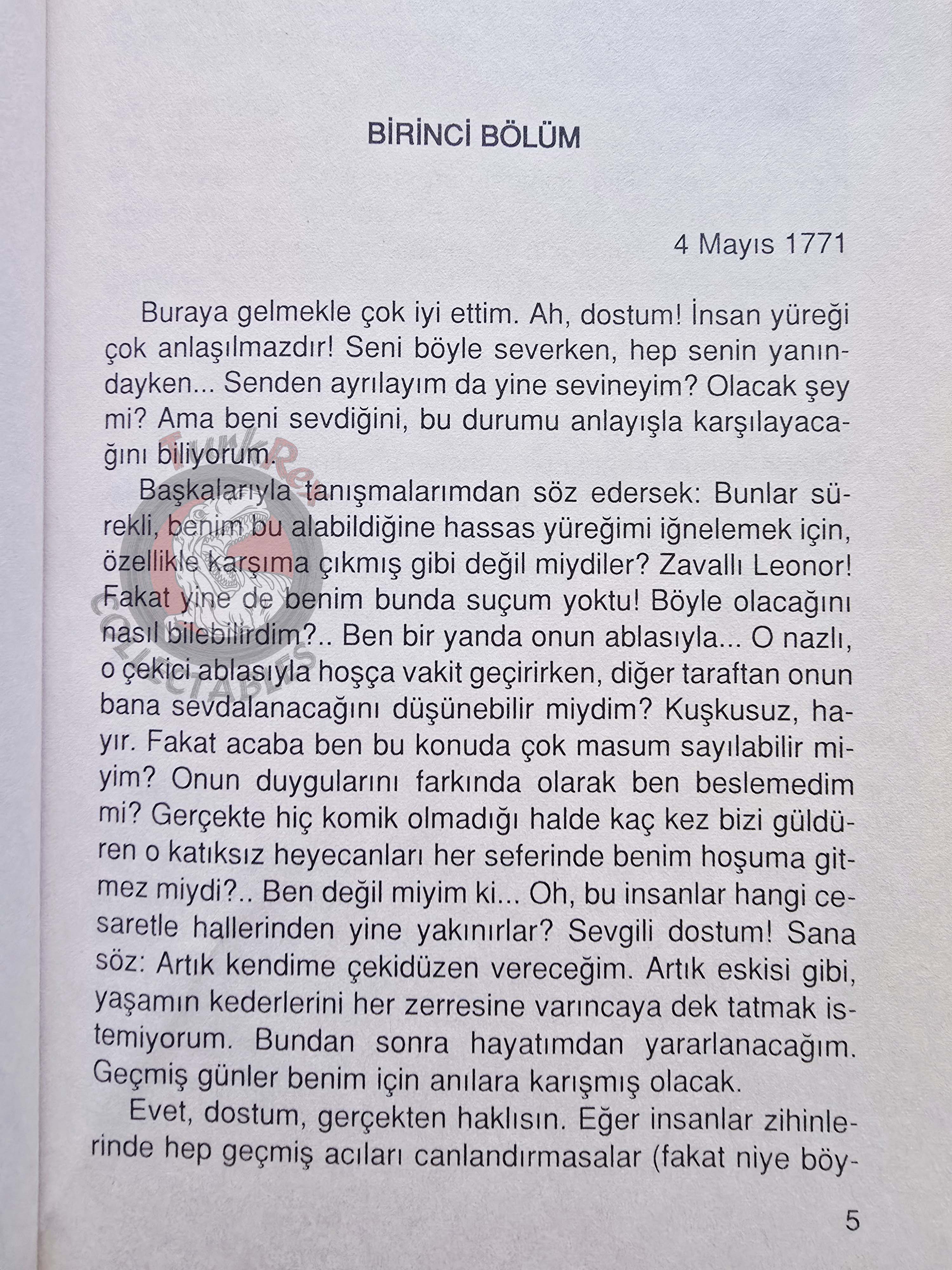 Johann Wolfgang von Goethe – The Sorrows Of Young Werther 2007 Turkish Book Turkey