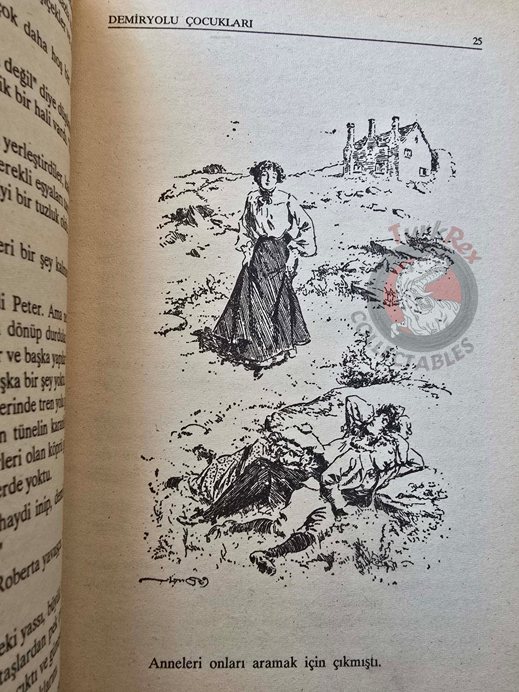 Edith Nesbit – The Railway Children 1991 Turkish Book Turkey Illustrated