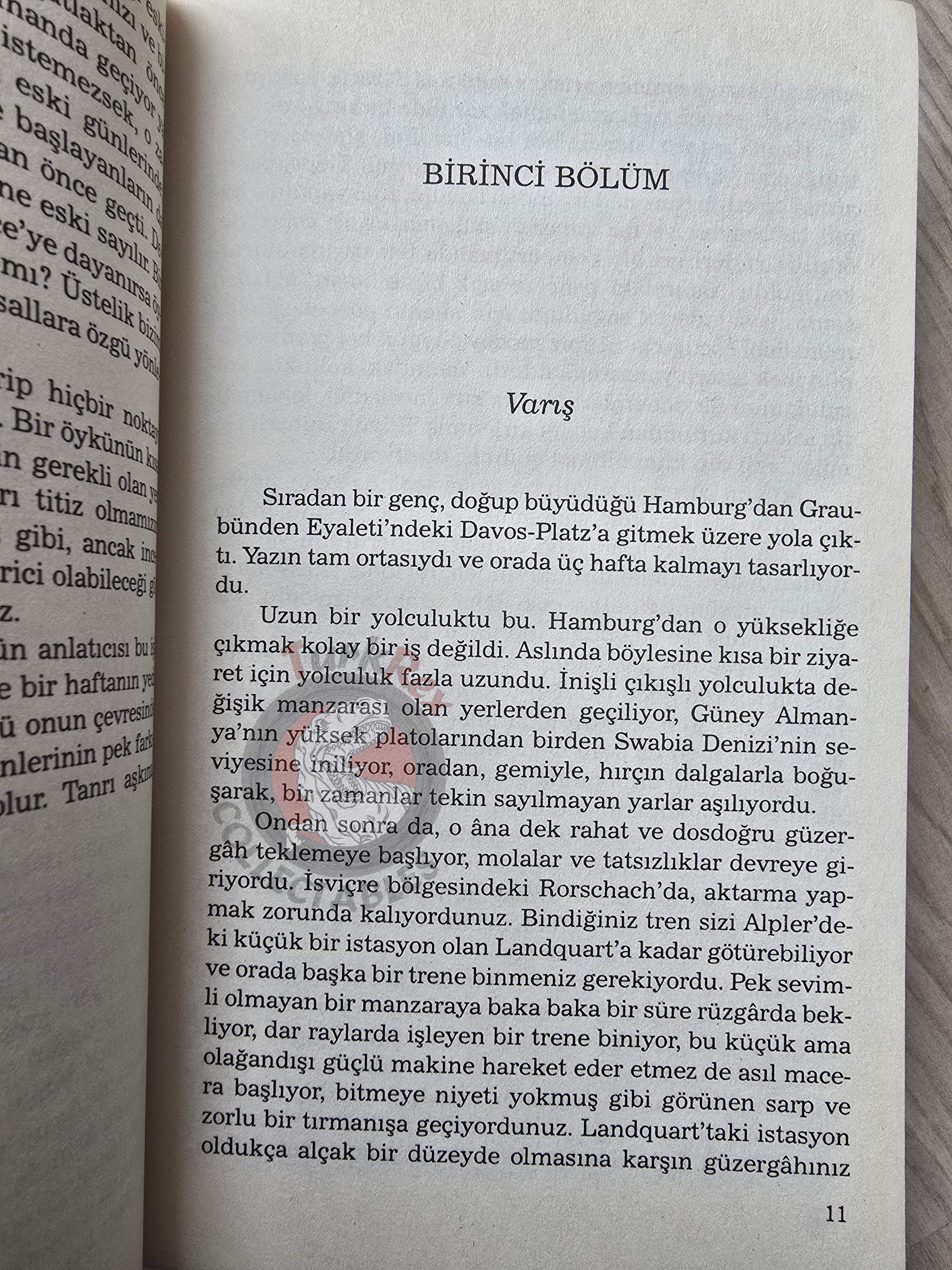 Thomas Mann – The Magic Mountain 2011 Turkish Book Turkey