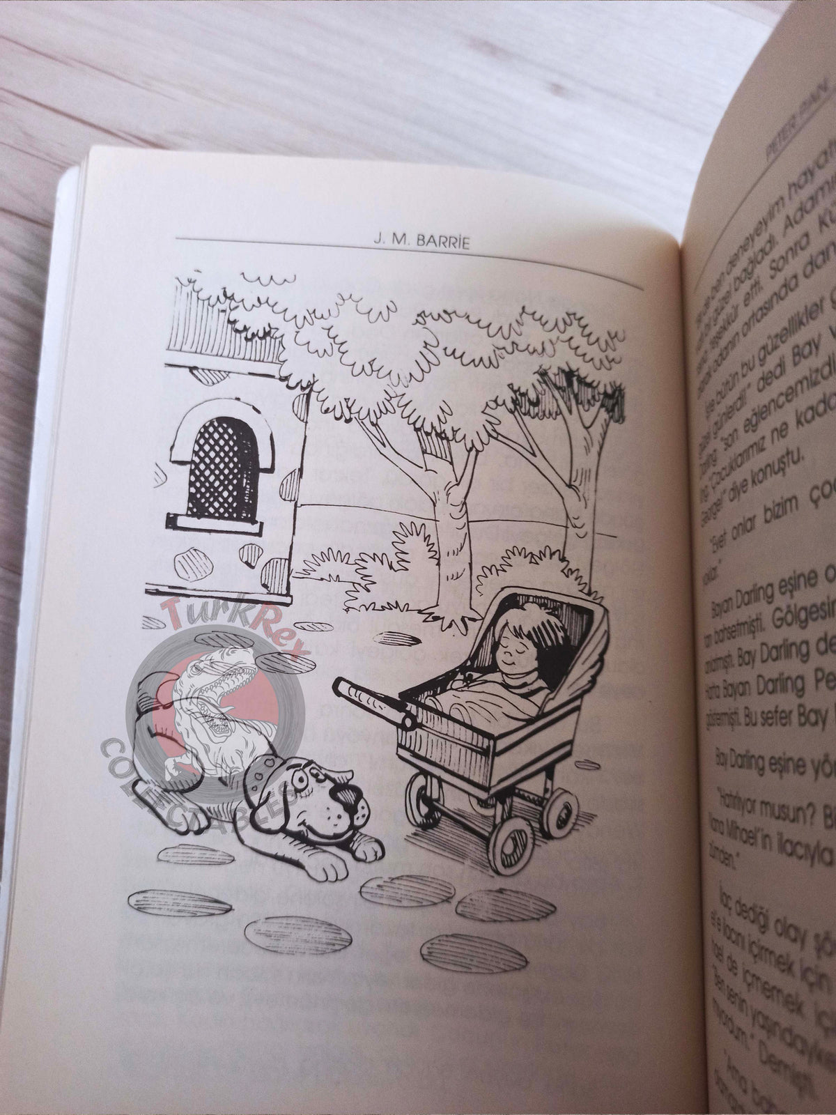 J. M. Barrie – Peter Pan 2005 Turkish Book Turkey Illustrated 3