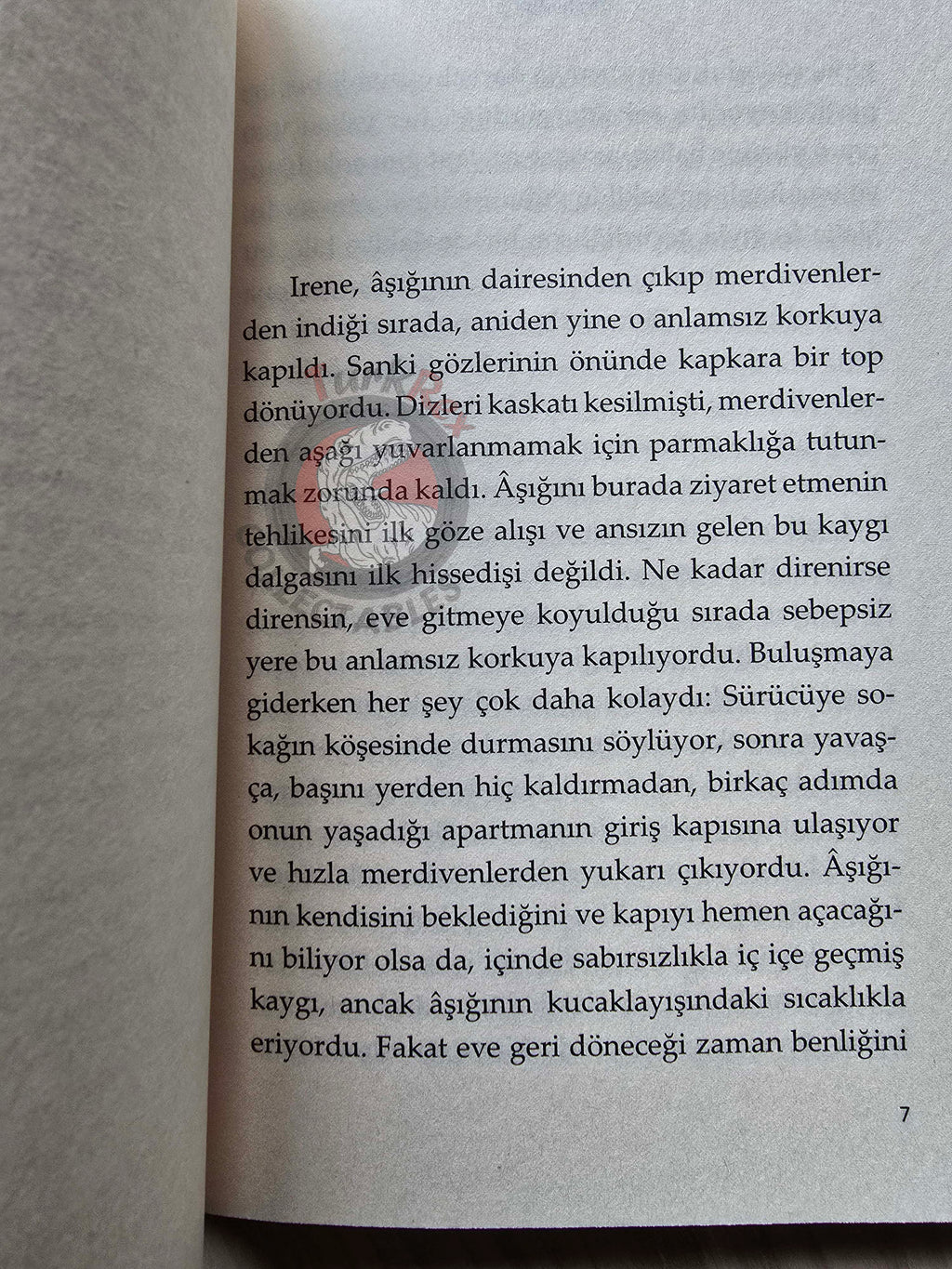 Stefan Zweig – Fear Turkish Book Turkey Angst