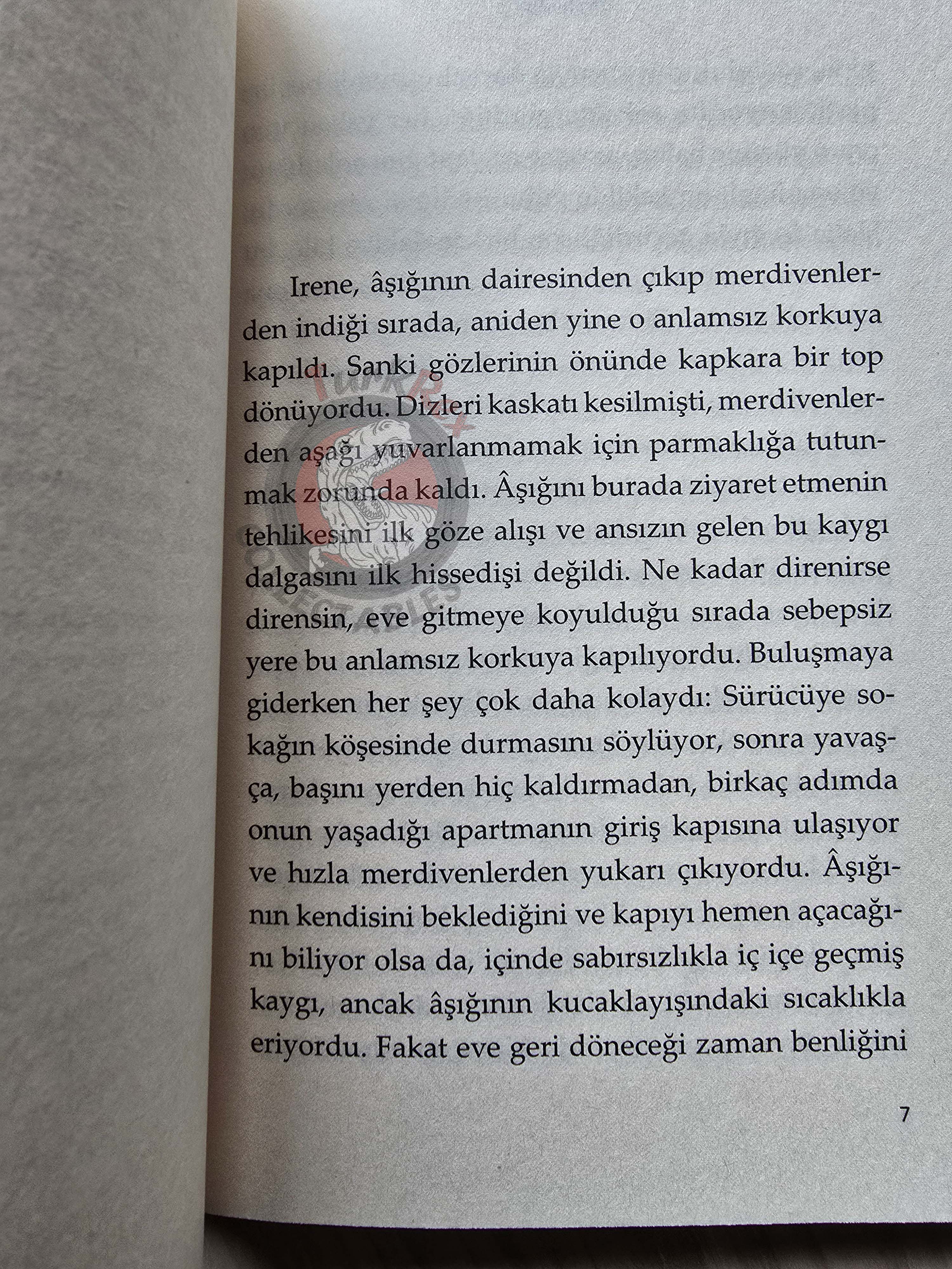 Stefan Zweig – Fear Turkish Book Turkey Angst