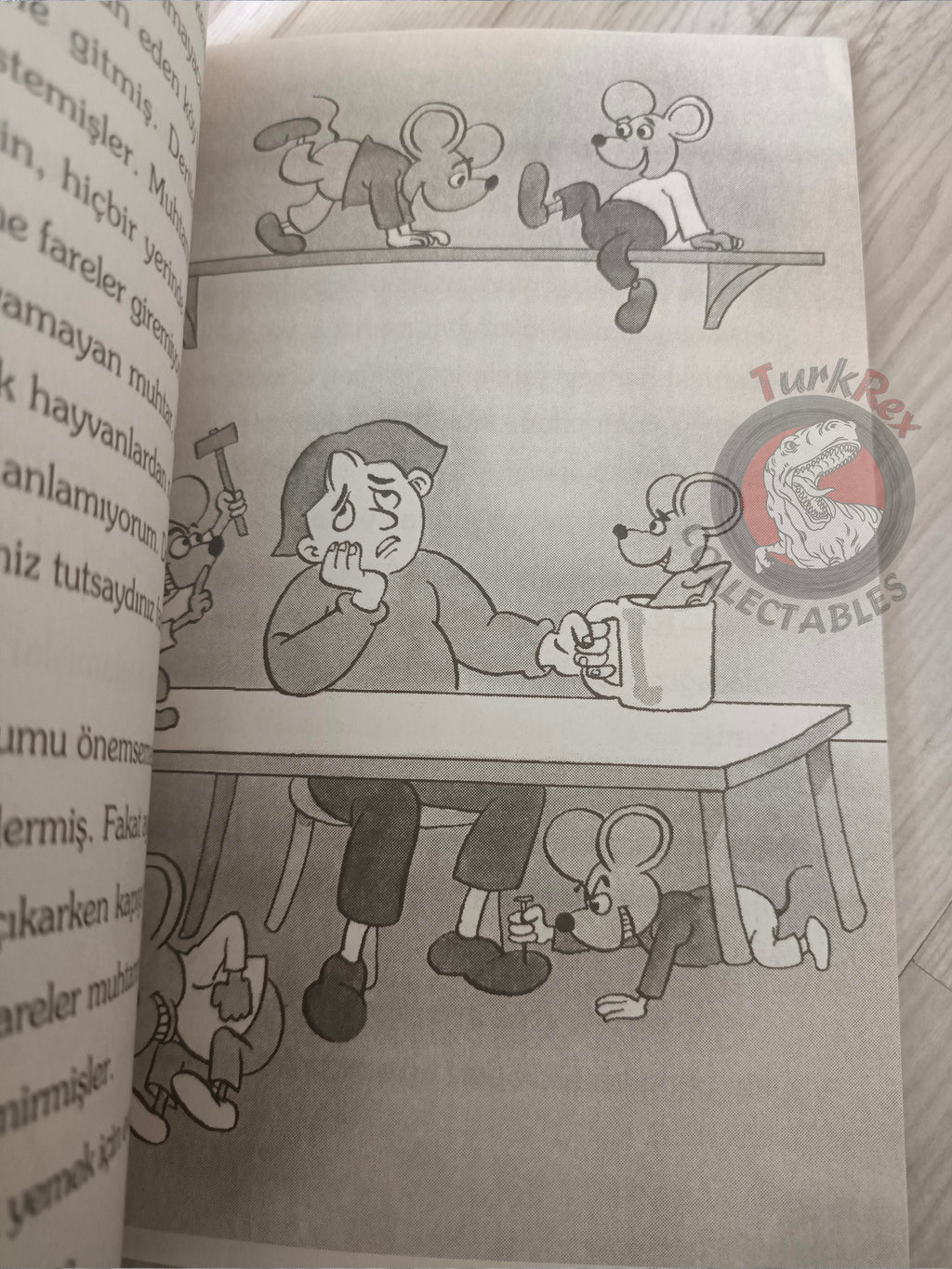 Grimm Brothers – Pied Piper of Hamelin 2009 Turkish Book Turkey Illustrated