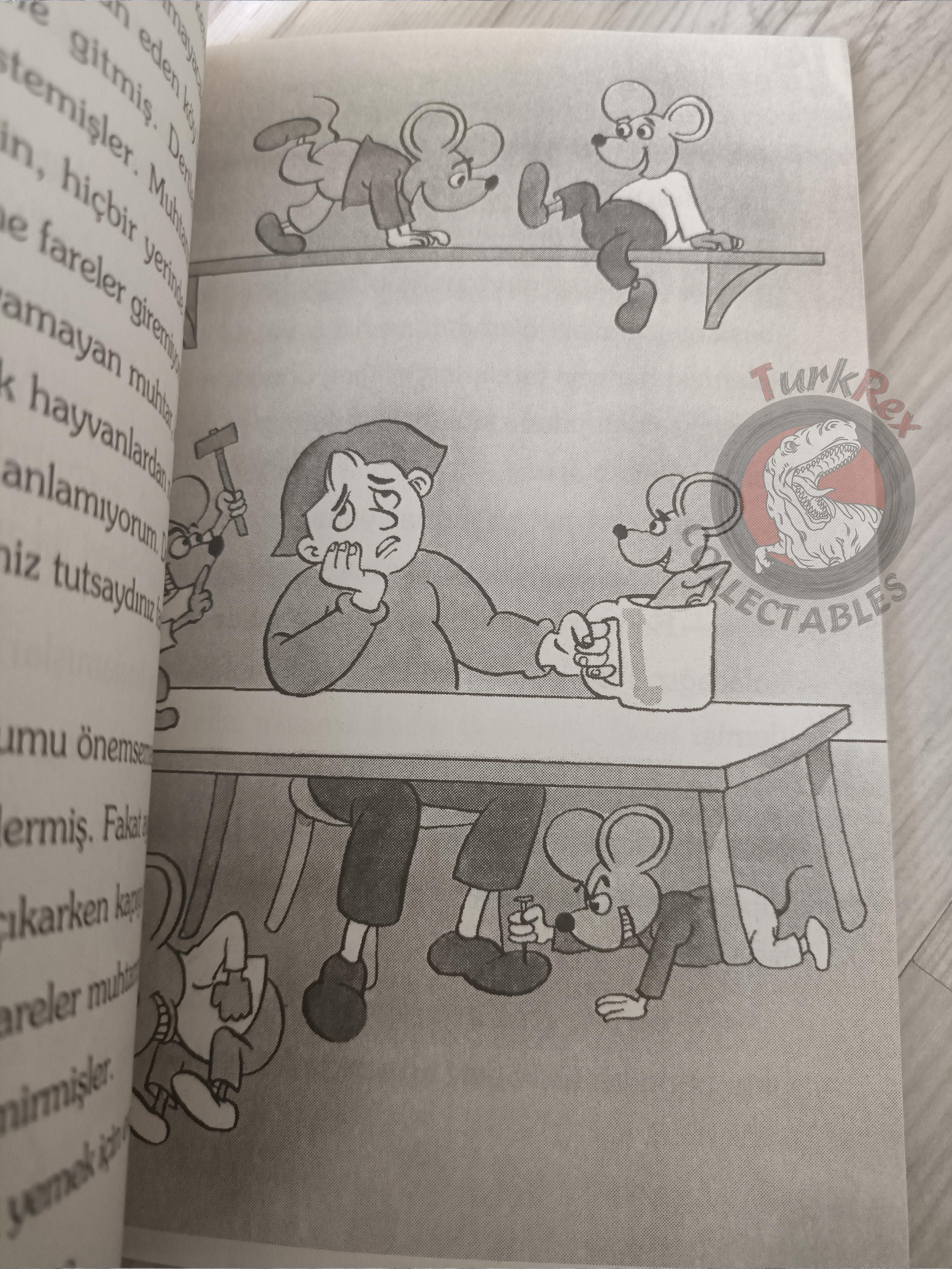 Grimm Brothers – Pied Piper of Hamelin 2009 Turkish Book Turkey Illustrated