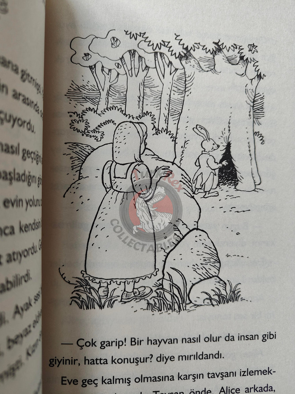 Lewis Carroll – Alice in Wonderland 2013 Turkish Book Turkey Illustrated