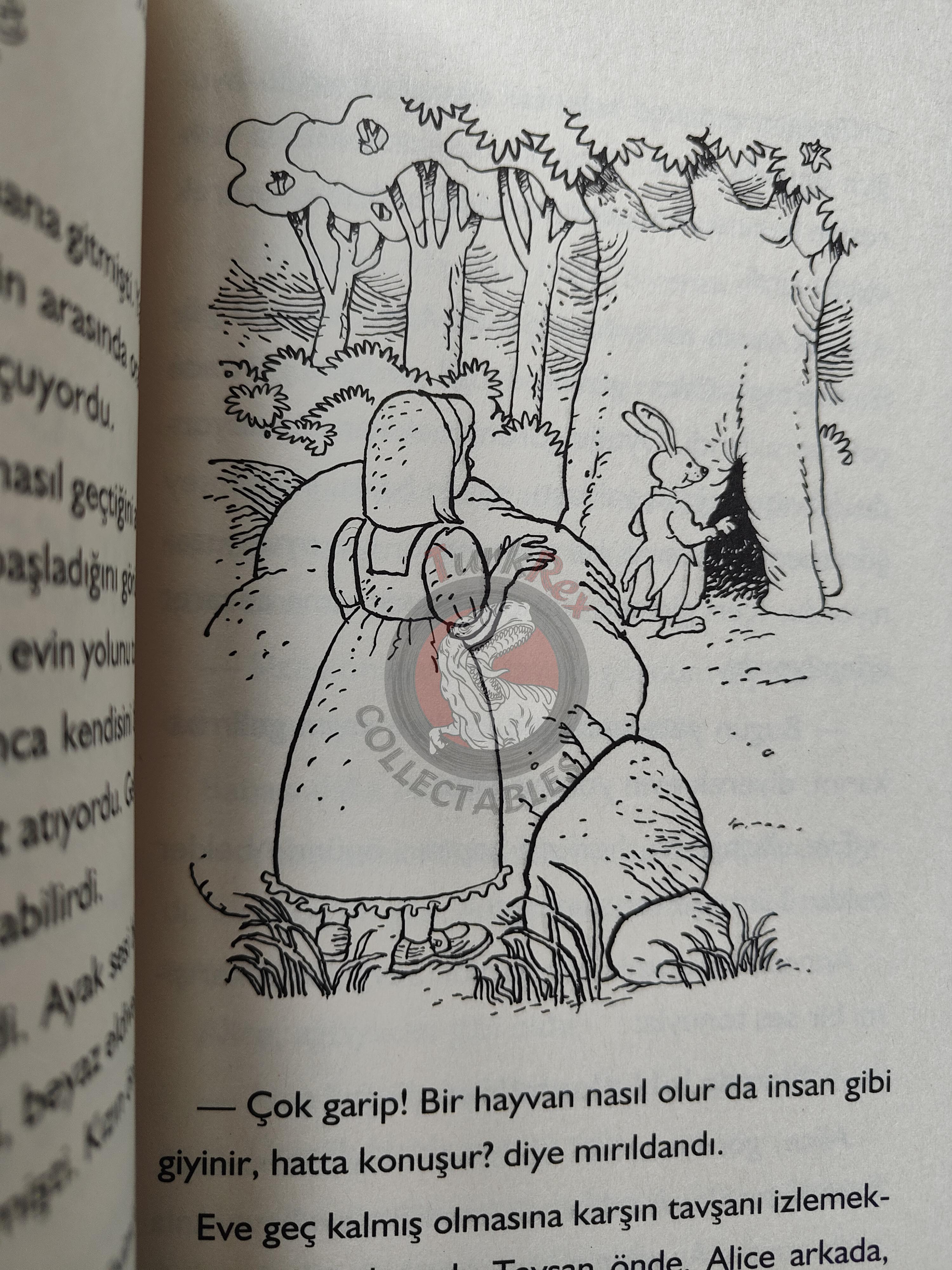 Lewis Carroll – Alice in Wonderland 2013 Turkish Book Turkey Illustrated