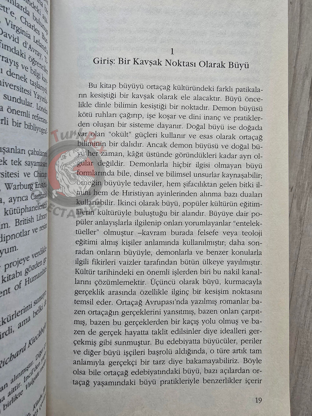 Richard Kieckhefer – Magic in the Middle Ages 2003 Turkish Book Turkey