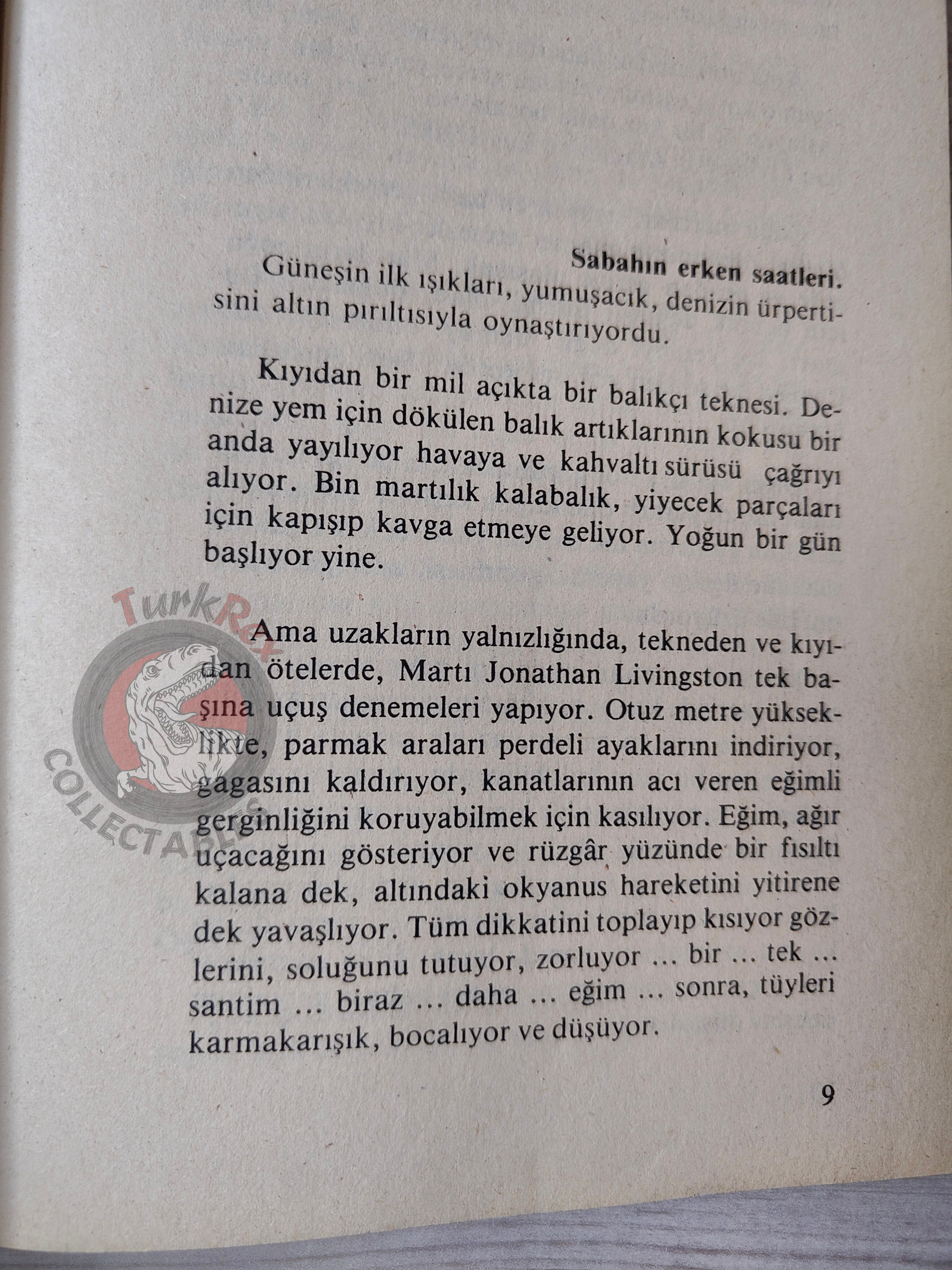 Richard Bach – Jonathan Livingston Seagull Turkish Book Turkey
