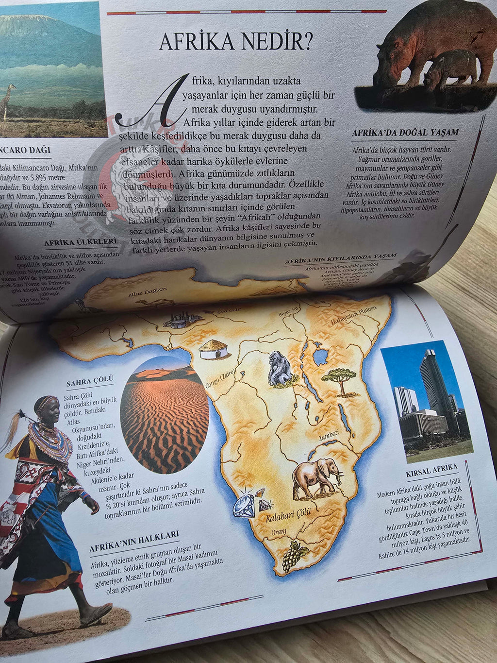 Colin Hynson – Exploration Of Africa 2001 Turkish Book Turkey