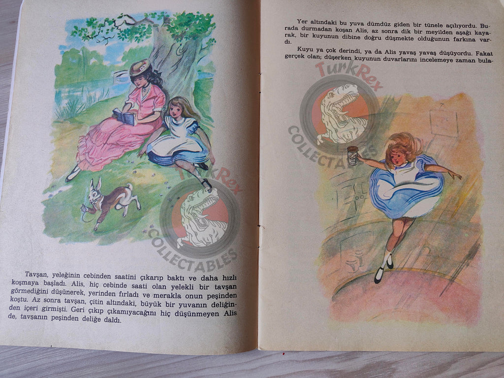 Lewis Carroll – Alice in Wonderland 1988 Turkish Book Turkey Illustrated Alice Huertas