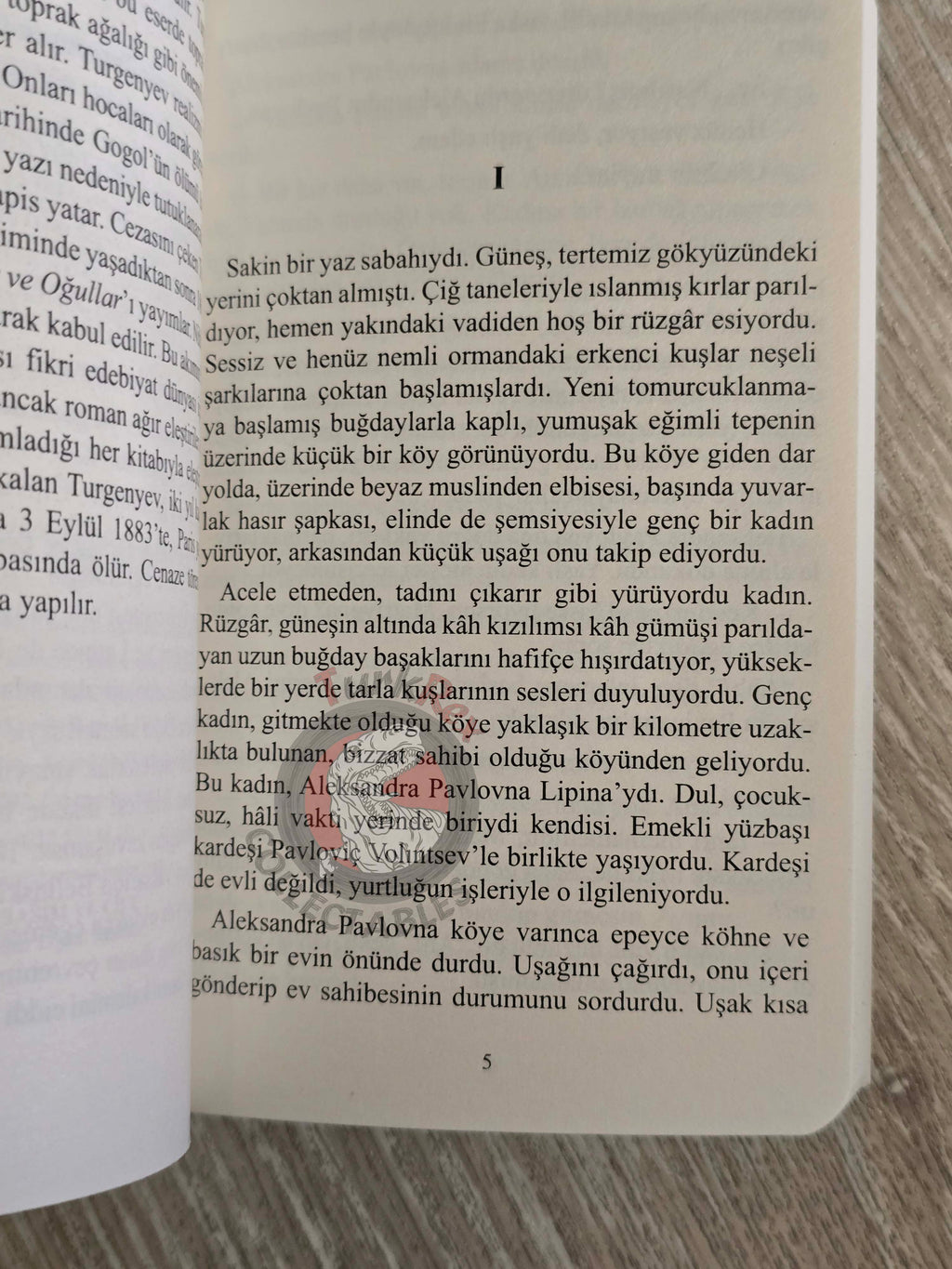 Ivan Turgenev – Rudin 2020 Turkish Book Turkey