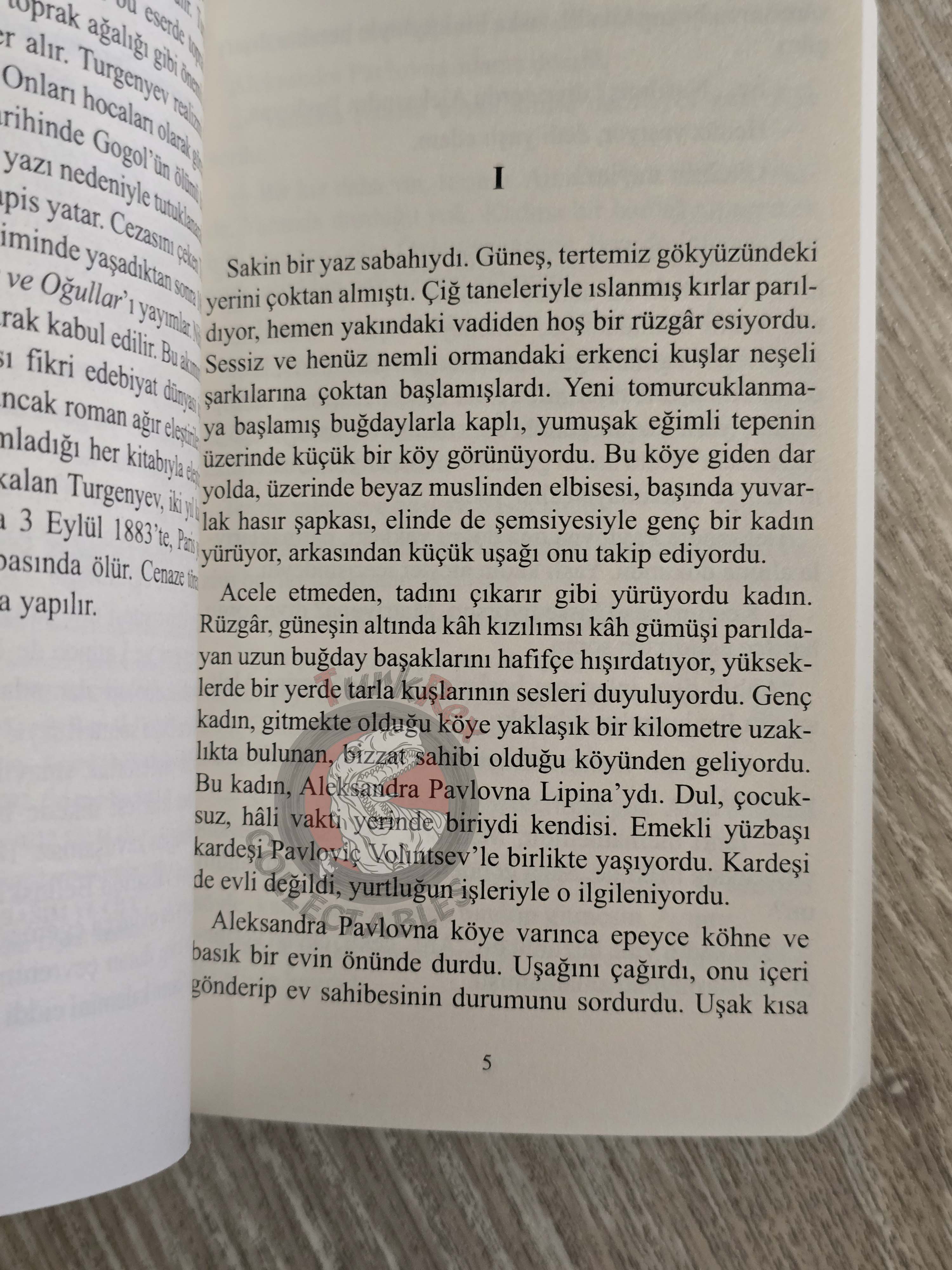 Ivan Turgenev – Rudin 2020 Turkish Book Turkey