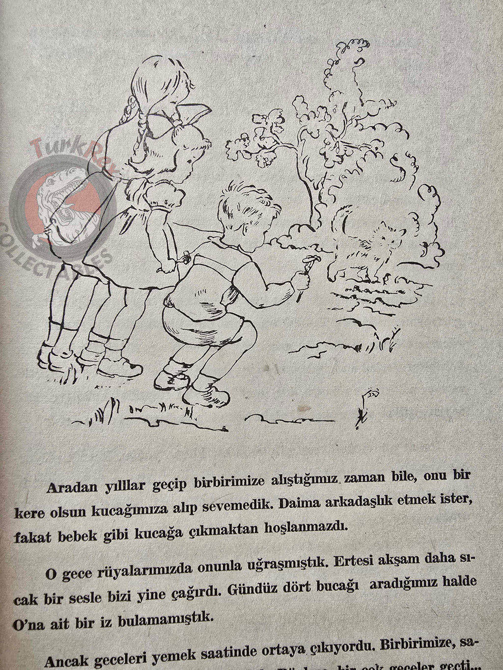 İffet İnan – Kımav 1956 Turkish Book Turkey Illustrated Cat
