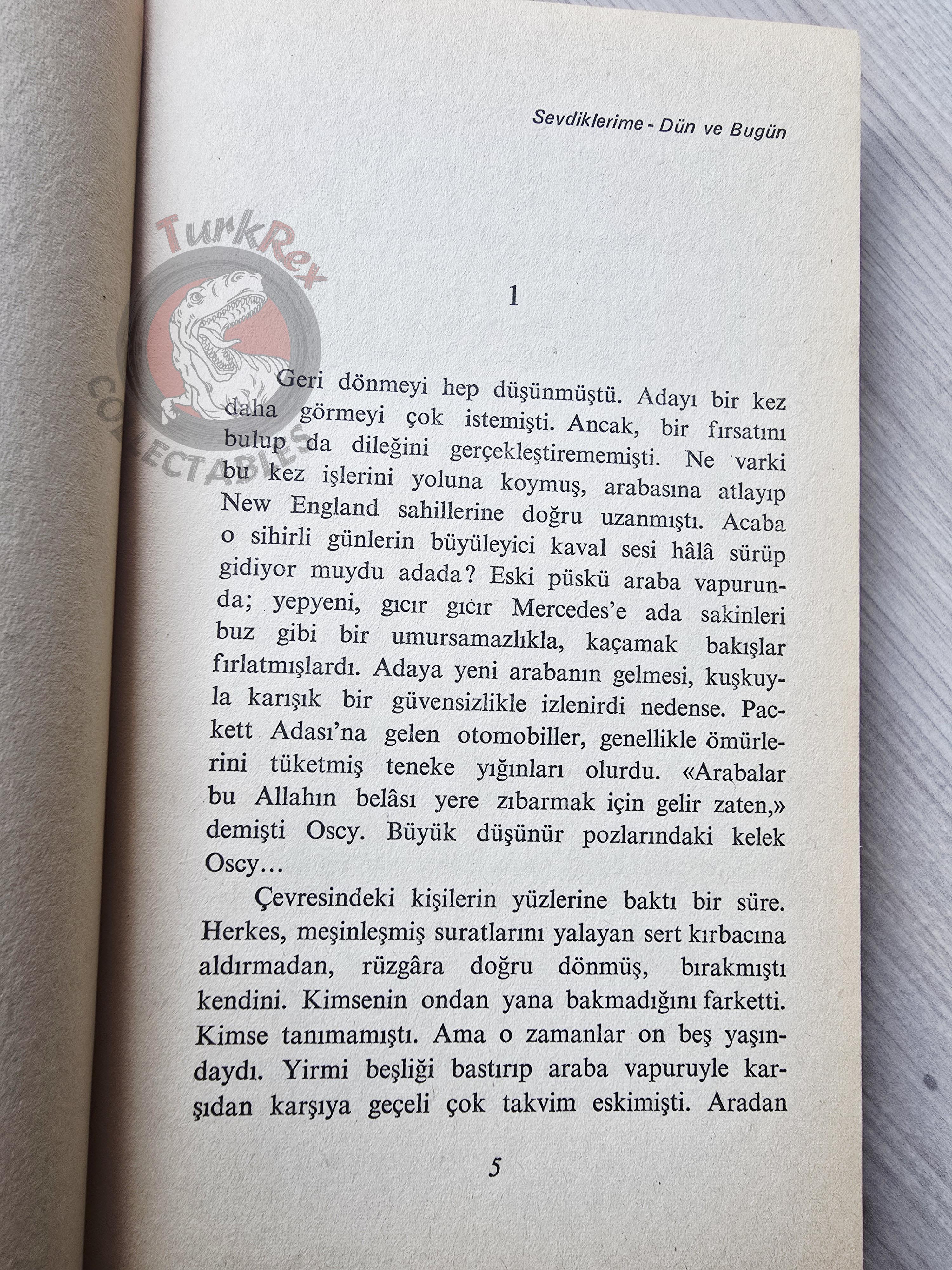 Herman Raucher – Summer of '42 1972 1st Turkish Book Turkey