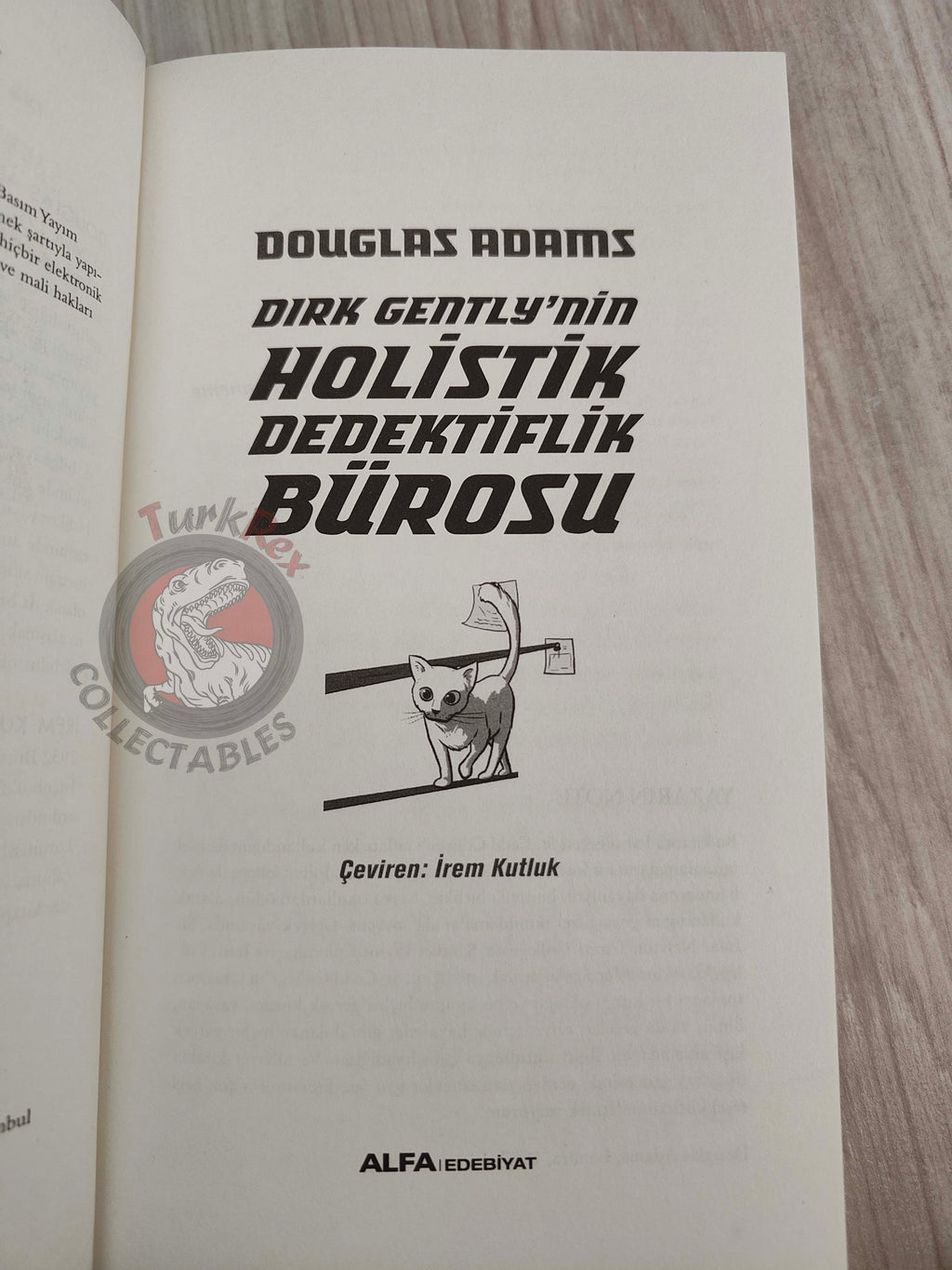 Douglas Adams – Dirk Gently’s Holistic Detective Agency 2018 Turkish Book Turkey