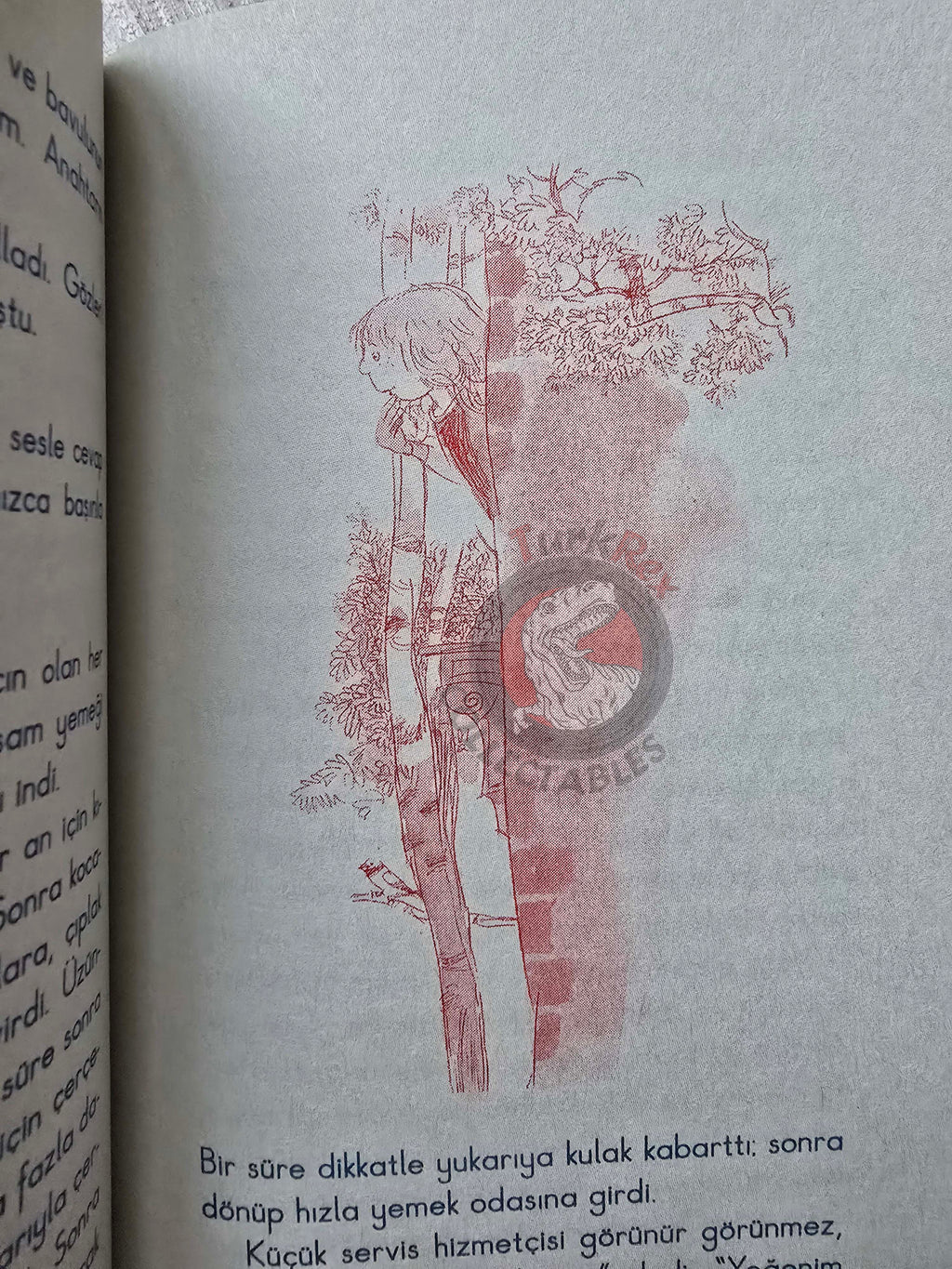 Eleanor H. Porter – Pollyanna 2010 Turkish Book Turkey Illustrated