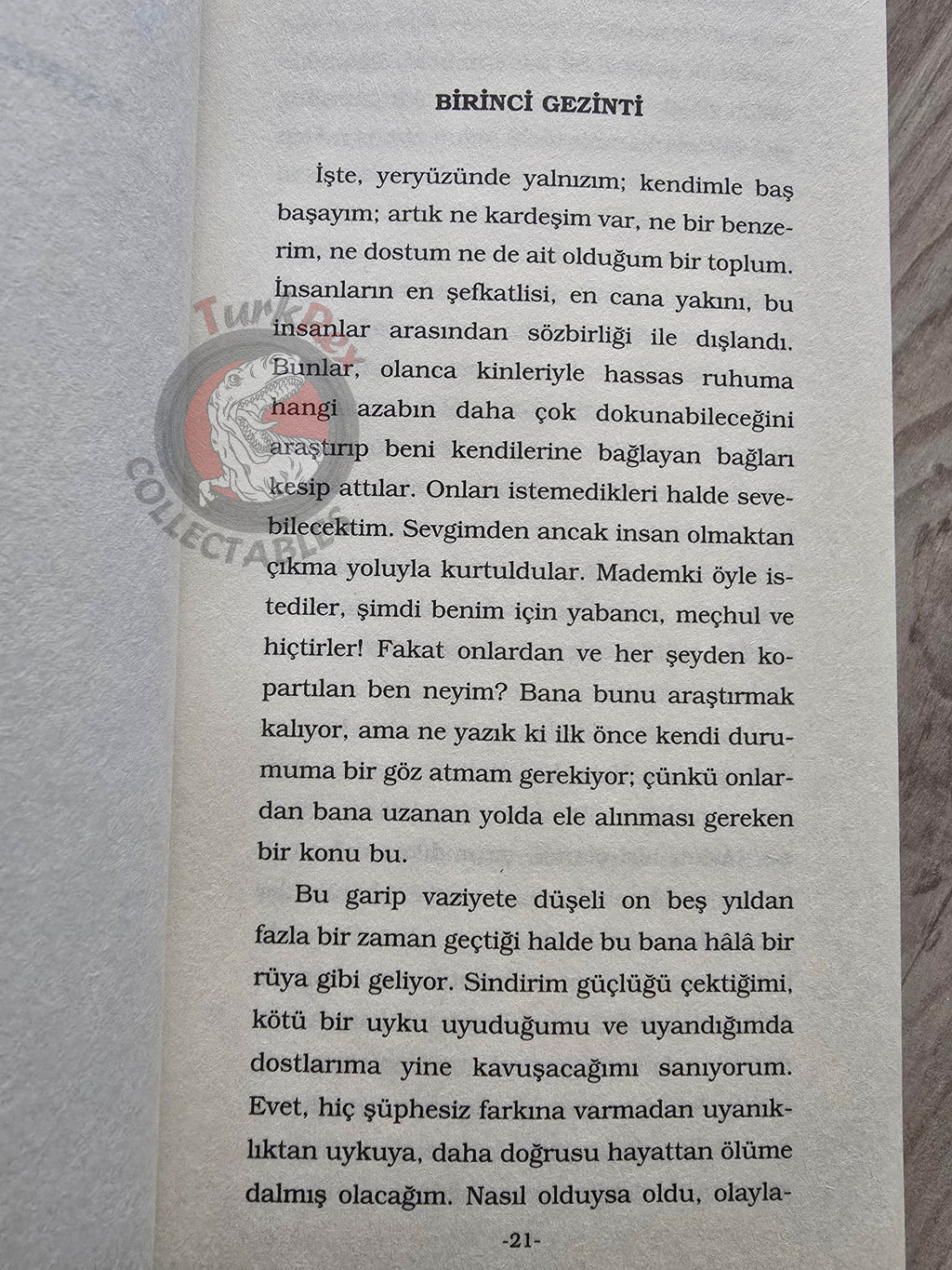 Jean-Jacques Rousseau – Reveries of a Solitary Walker 2007 Turkish Book Turkey 1