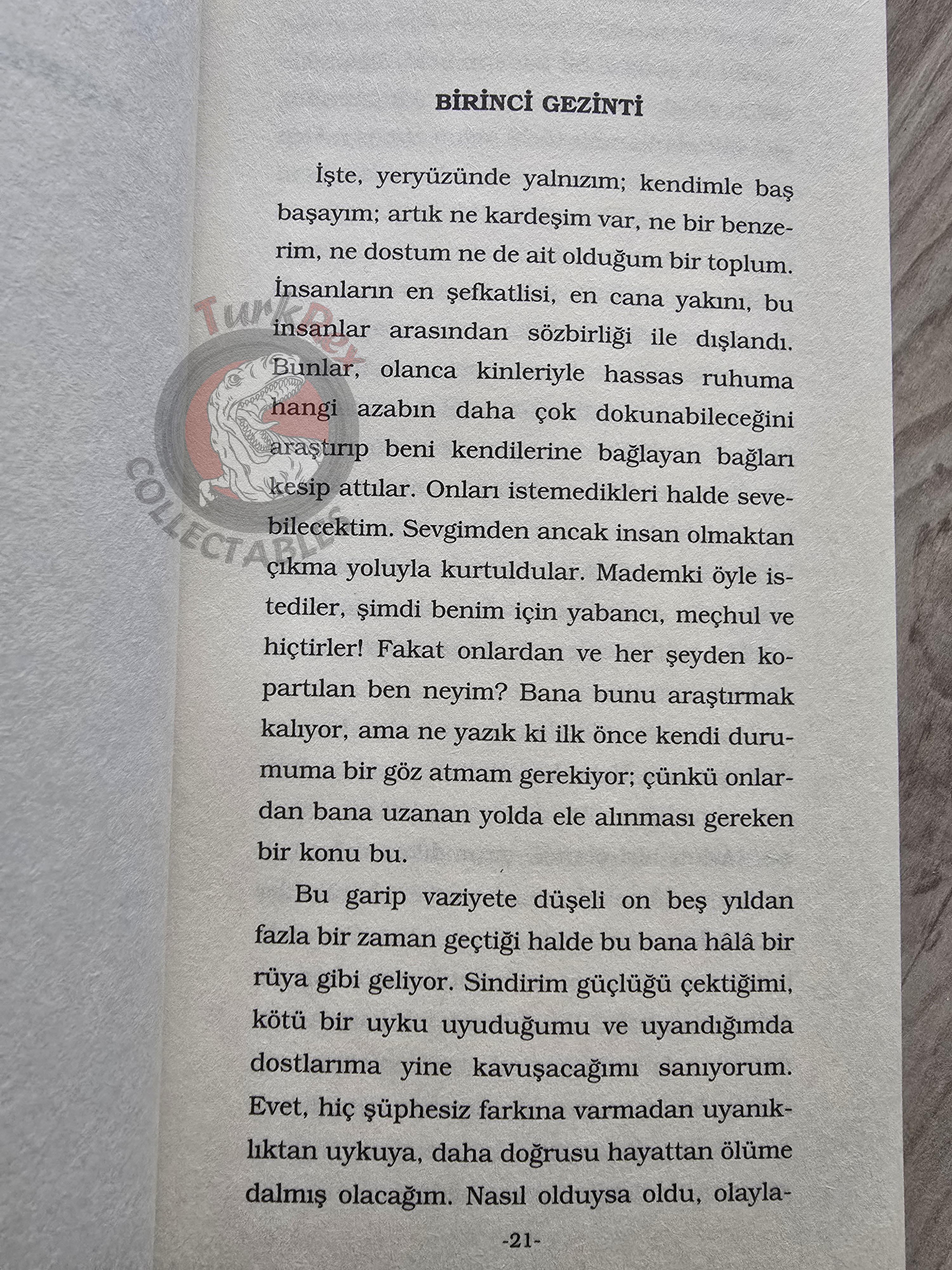 Jean-Jacques Rousseau – Reveries of a Solitary Walker 2007 Turkish Book Turkey 1