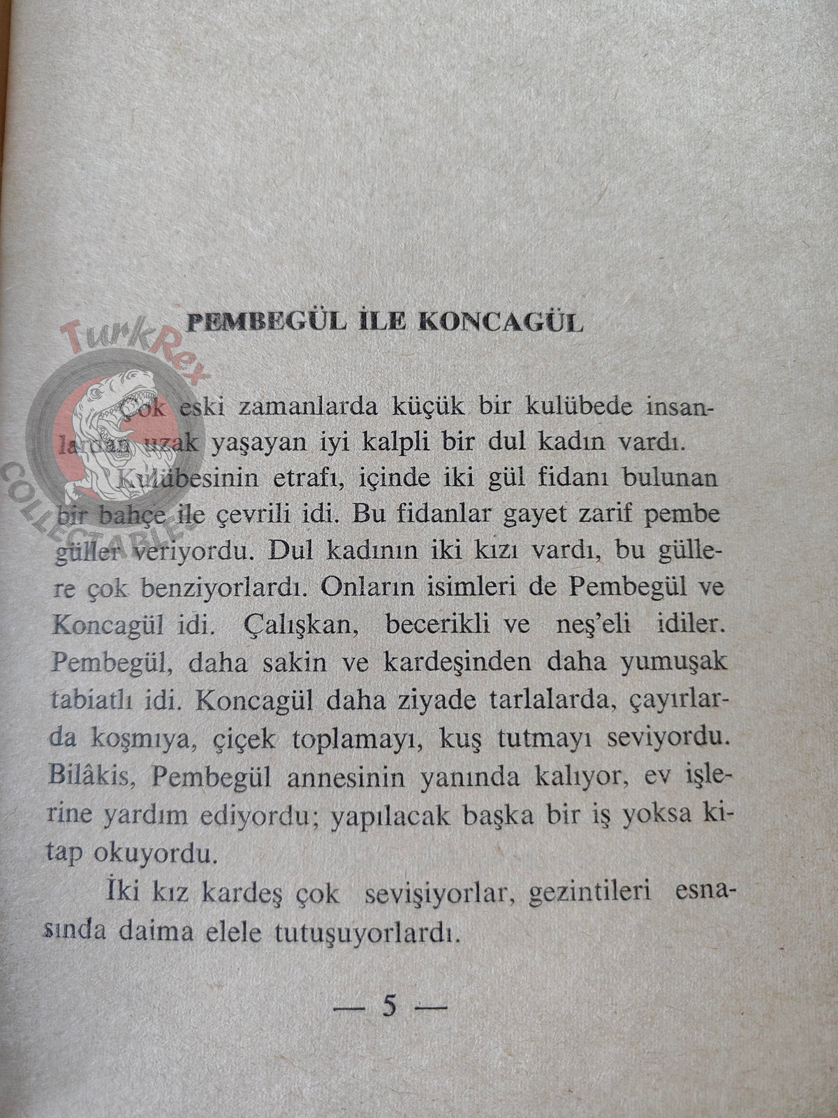 Grimm Brothers –  The Wren and the Bear 1965 Turkish Book Turkey Illustrated