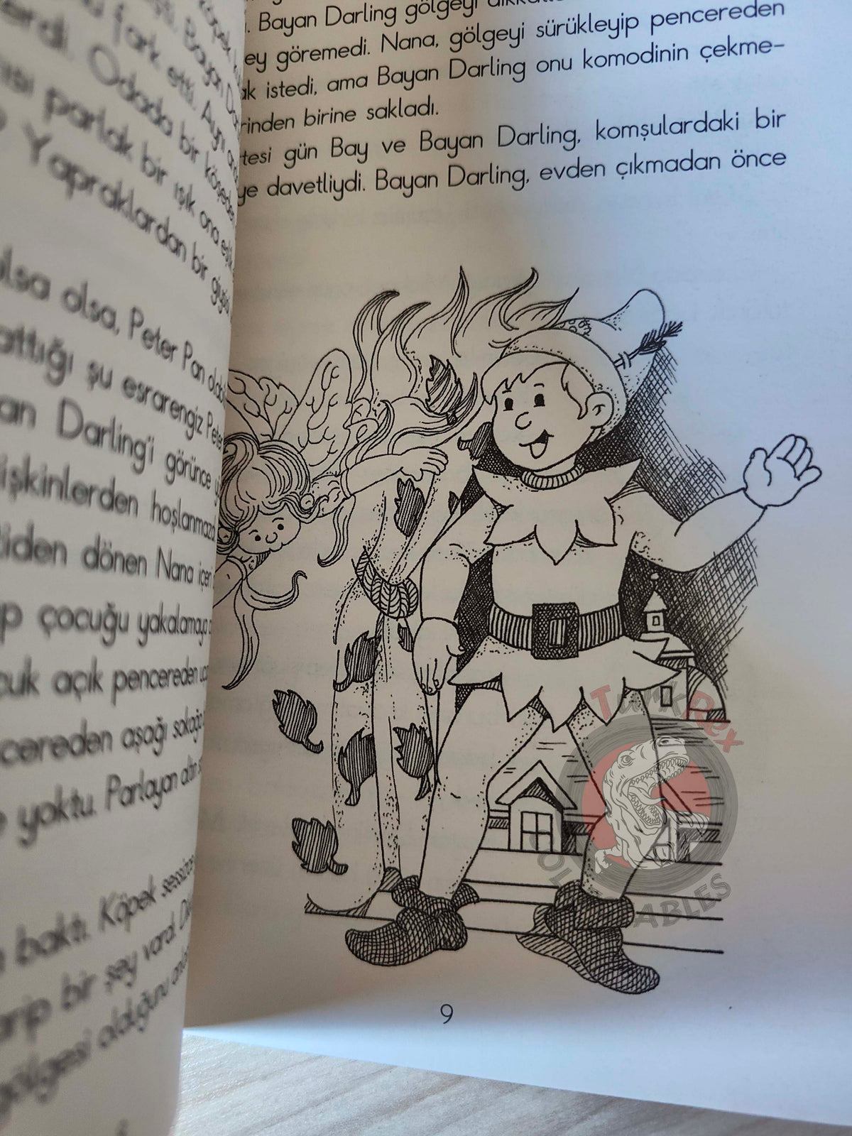 J. M. Barrie – Peter Pan 2009 Turkish Book Turkey Illustrated 4