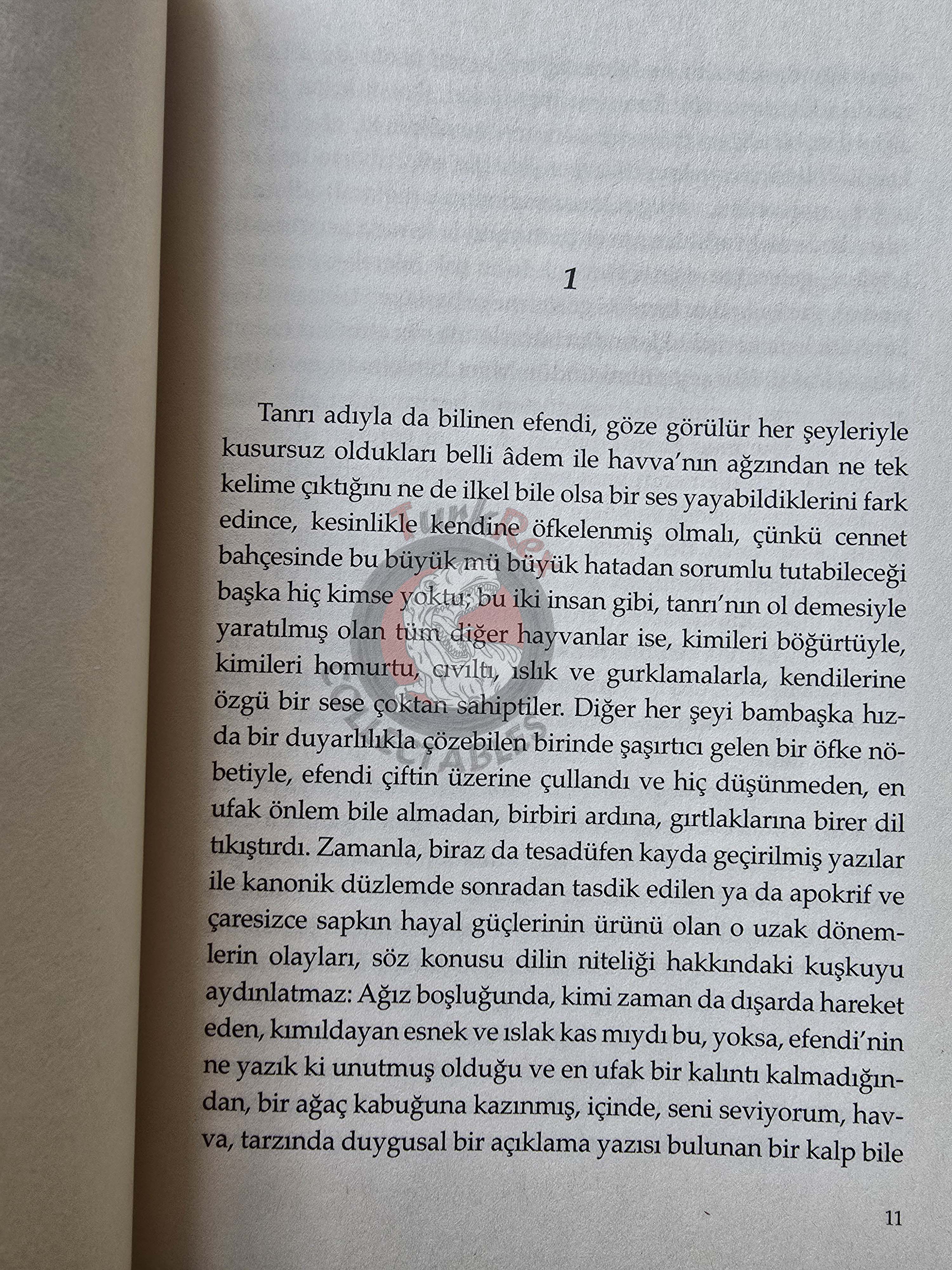 José Saramago – Cain 2018 Turkish Book Turkey