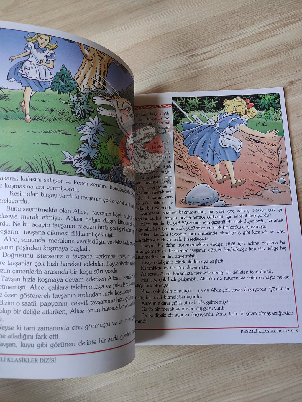 Lewis Carroll – Alice in Wonderland 2011 Turkish Book Turkey Illustrated 1