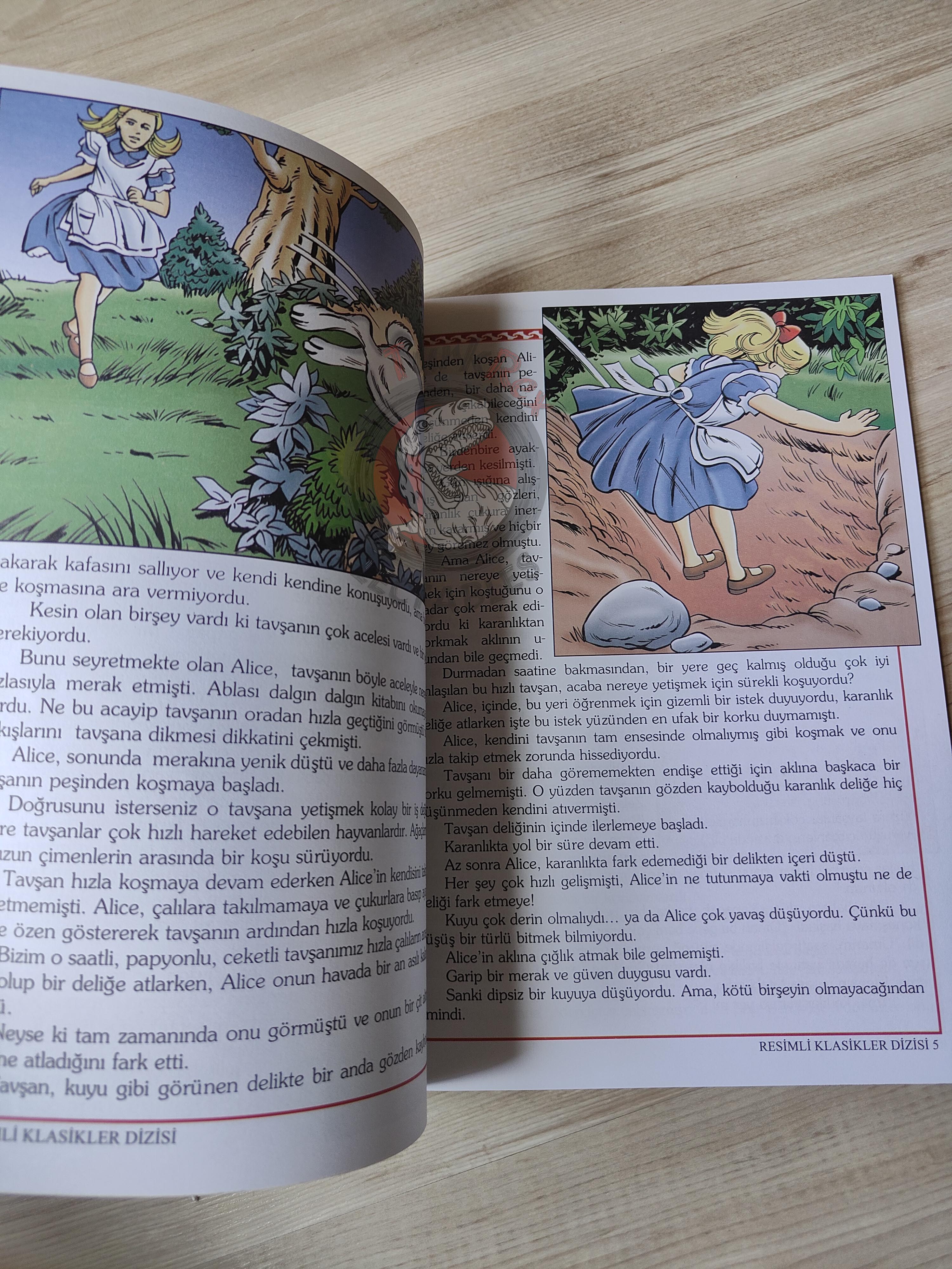 Lewis Carroll – Alice in Wonderland 2011 Turkish Book Turkey Illustrated 1