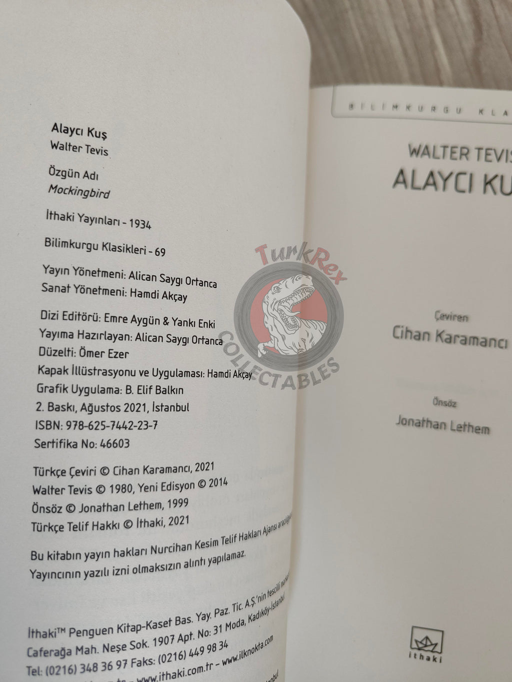Walter Tevis – Mockingbird 2021 Turkish Book Turkey