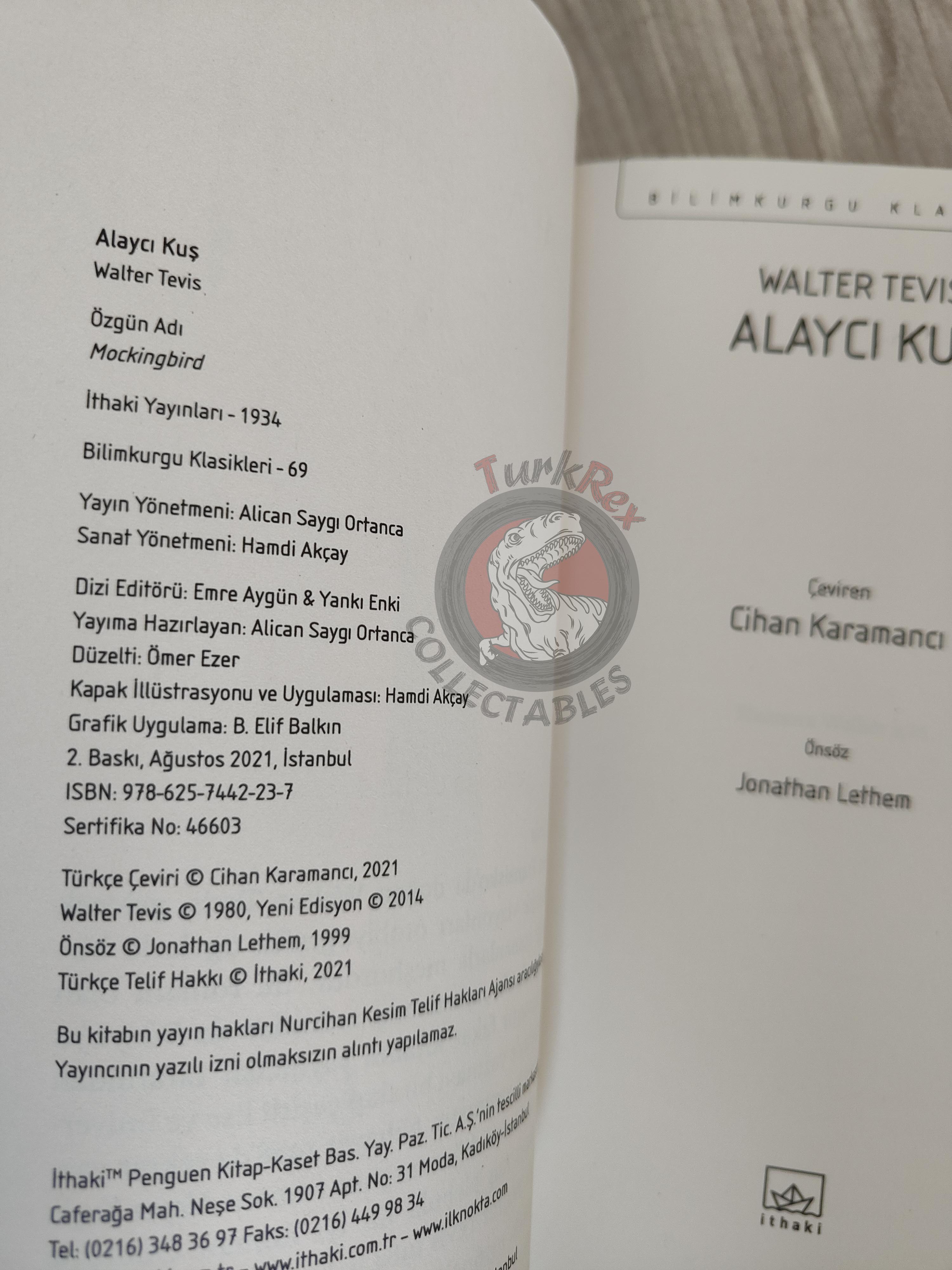 Walter Tevis – Mockingbird 2021 Turkish Book Turkey
