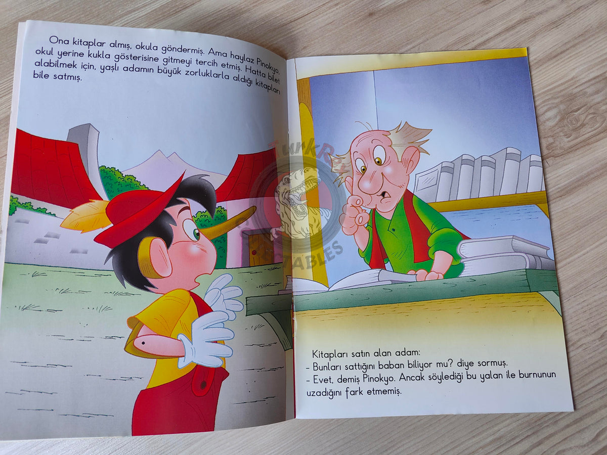 Carlo Collodi – Pinocchio 2011 Turkish Book Turkey Illustrated