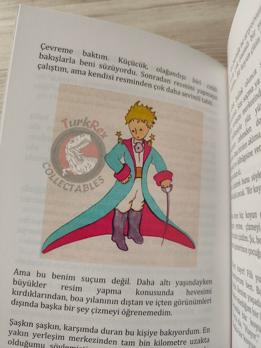 Antoine de Saint-Exupéry – Le Petit Prince 2015 Turkish Book Turkey Illustrated Little 5