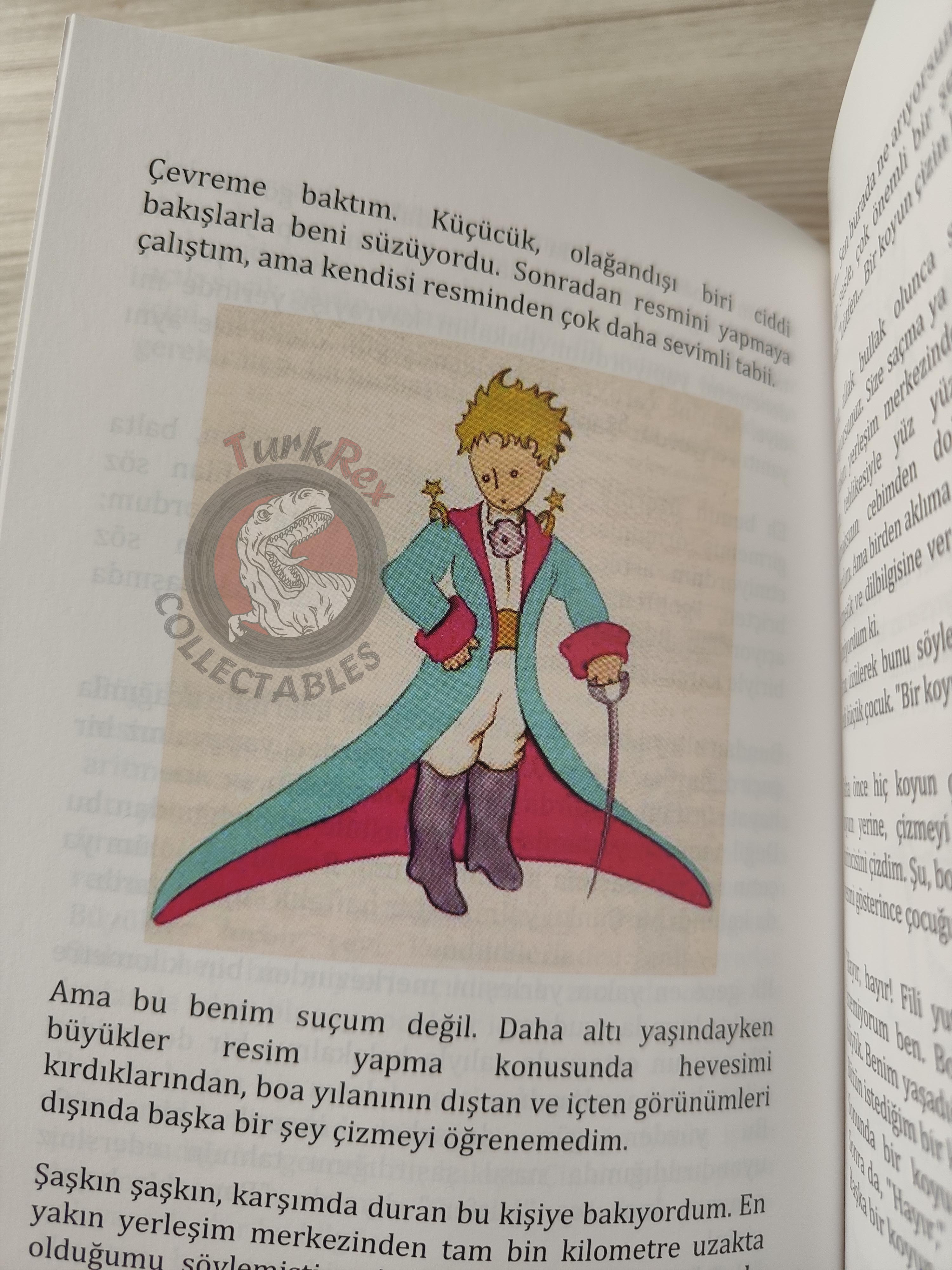 Antoine de Saint-Exupéry – Le Petit Prince 2015 Turkish Book Turkey Illustrated Little 5