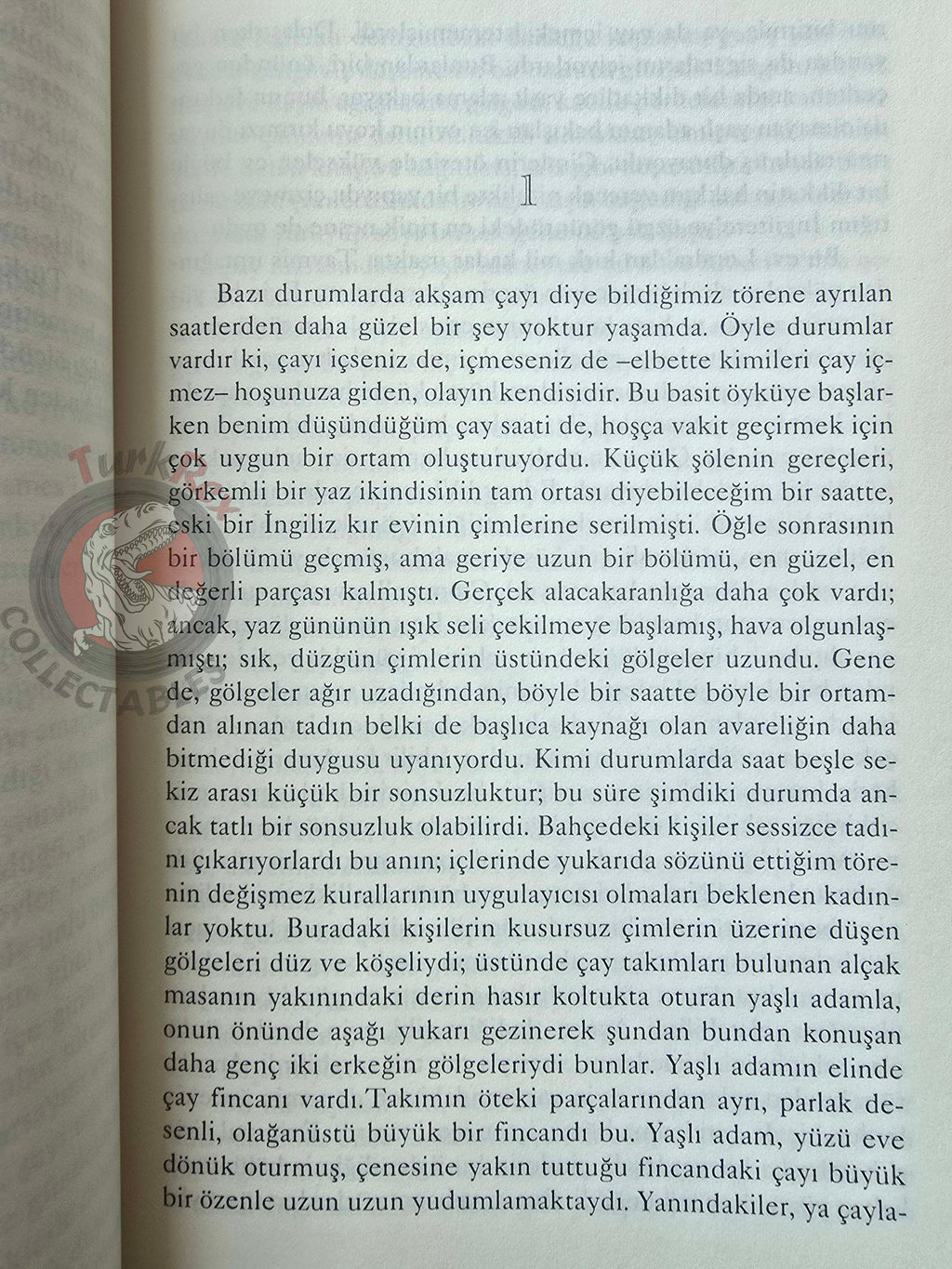 Henry James – The Portrait of a Lady 2006 Turkish Book Turkey