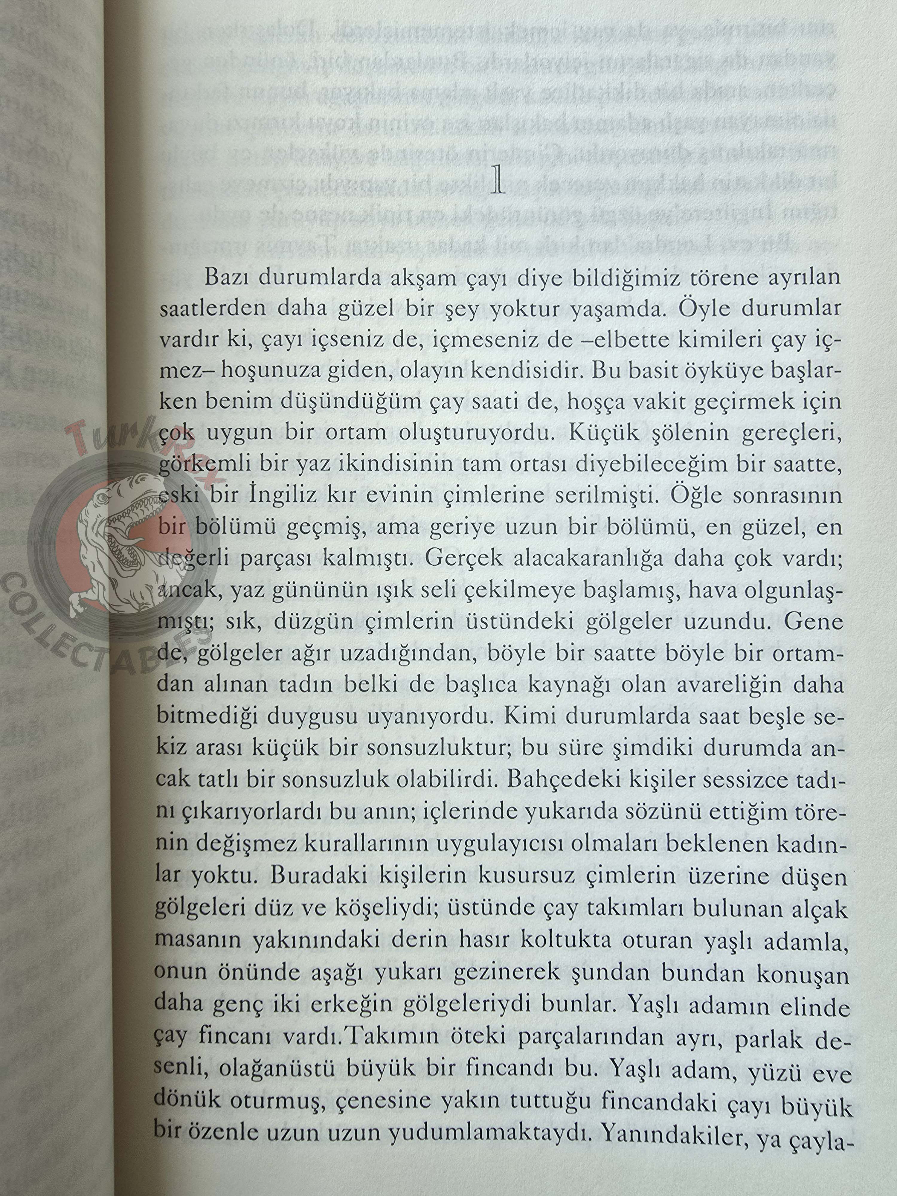 Henry James – The Portrait of a Lady 2006 Turkish Book Turkey