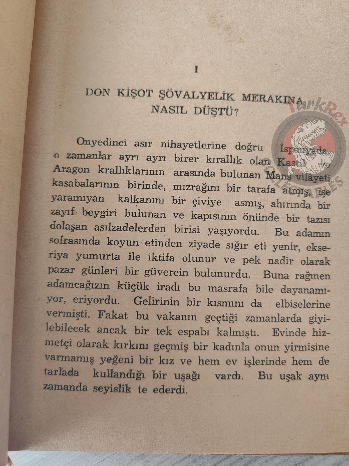 Miguel de Cervantes – Don Quixote 1960s Turkish Book Turkey Illustrated