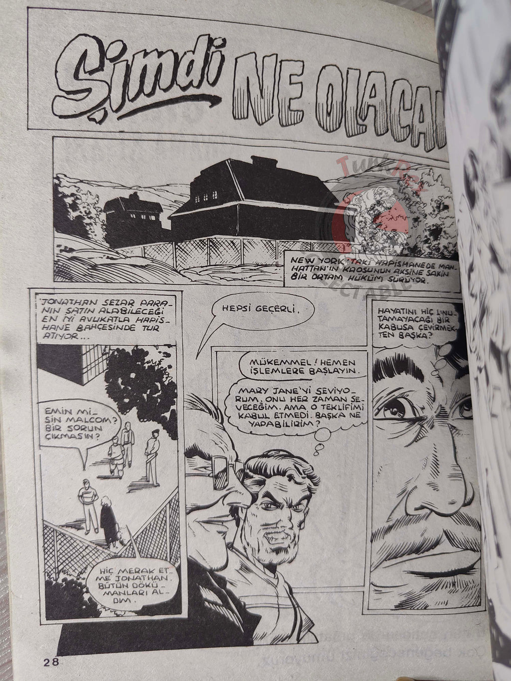 Spider-Man #116 1990 Turkish Comic Turkey Web of #52 #54 Spectacular #149 Hulk #263 Amazing #314