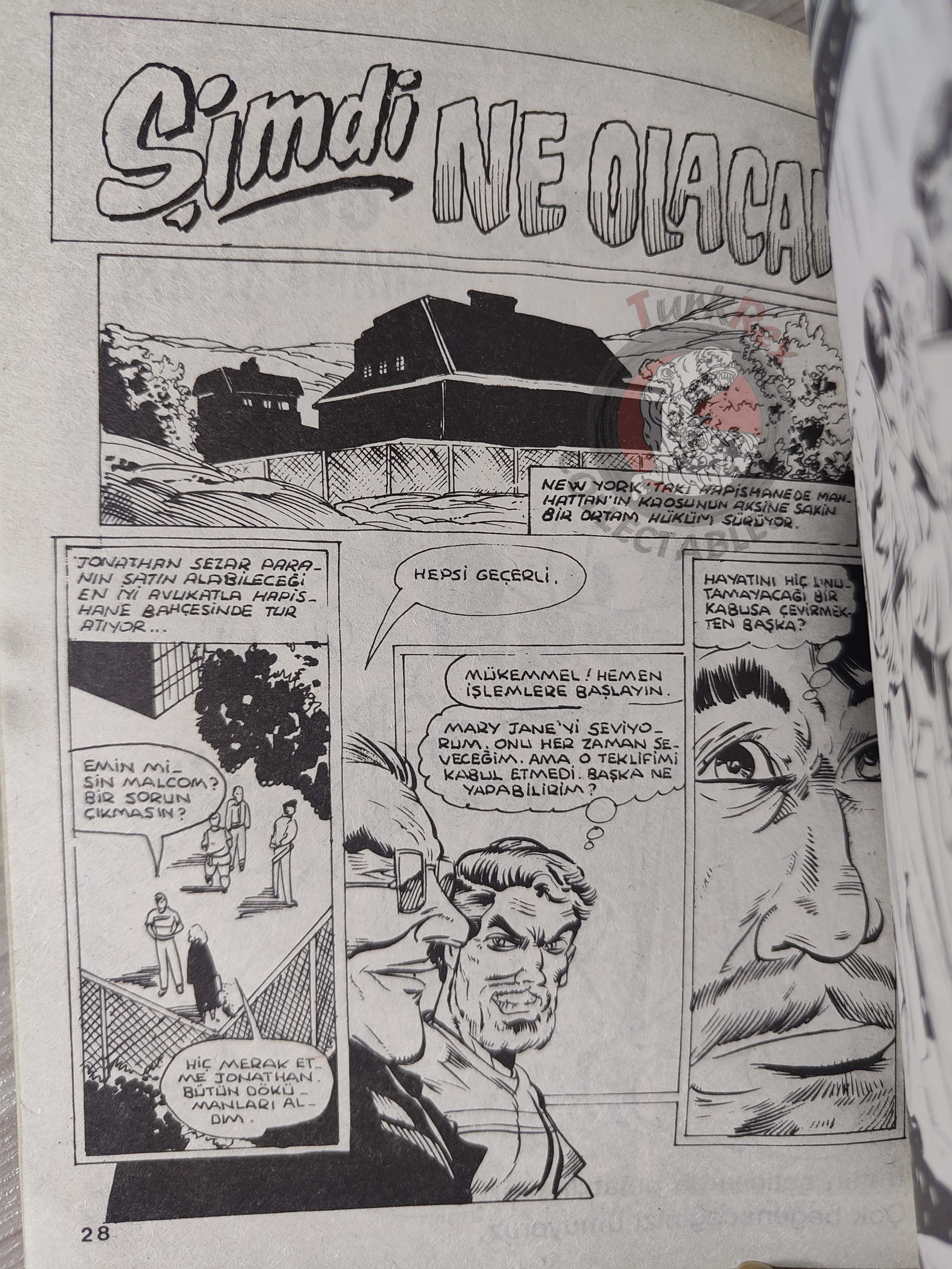 Spider-Man #116 1990 Turkish Comic Turkey Web of #52 #54 Spectacular #149 Hulk #263 Amazing #314