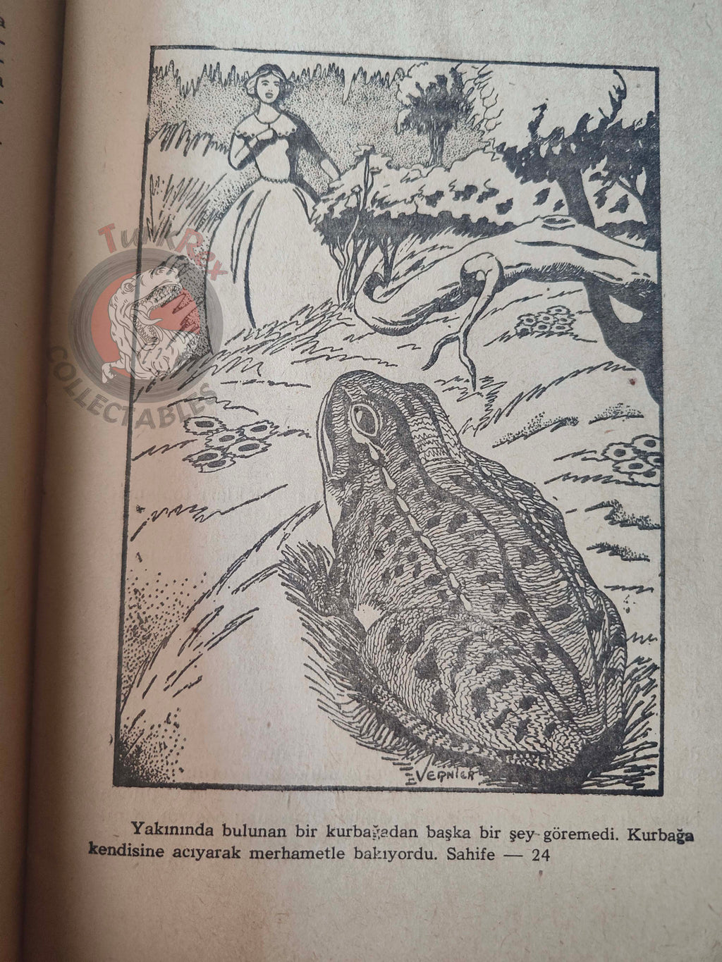 Countess of Ségur –  Silk Princess 1945 Turkish Book Turkey Illustrated