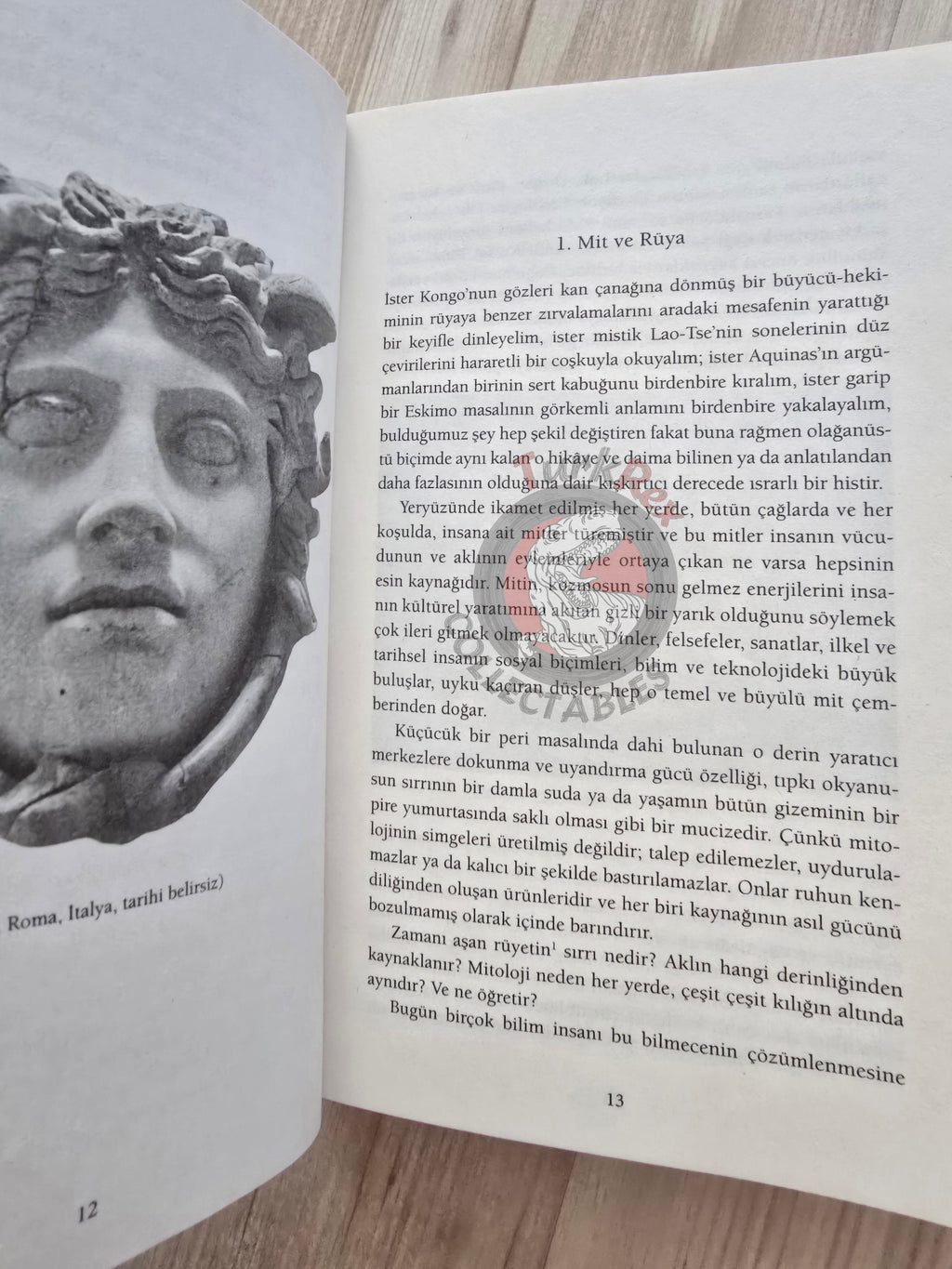 Joseph Campbell – The Hero with a Thousand Faces 2017 1st Turkish Book Turkey