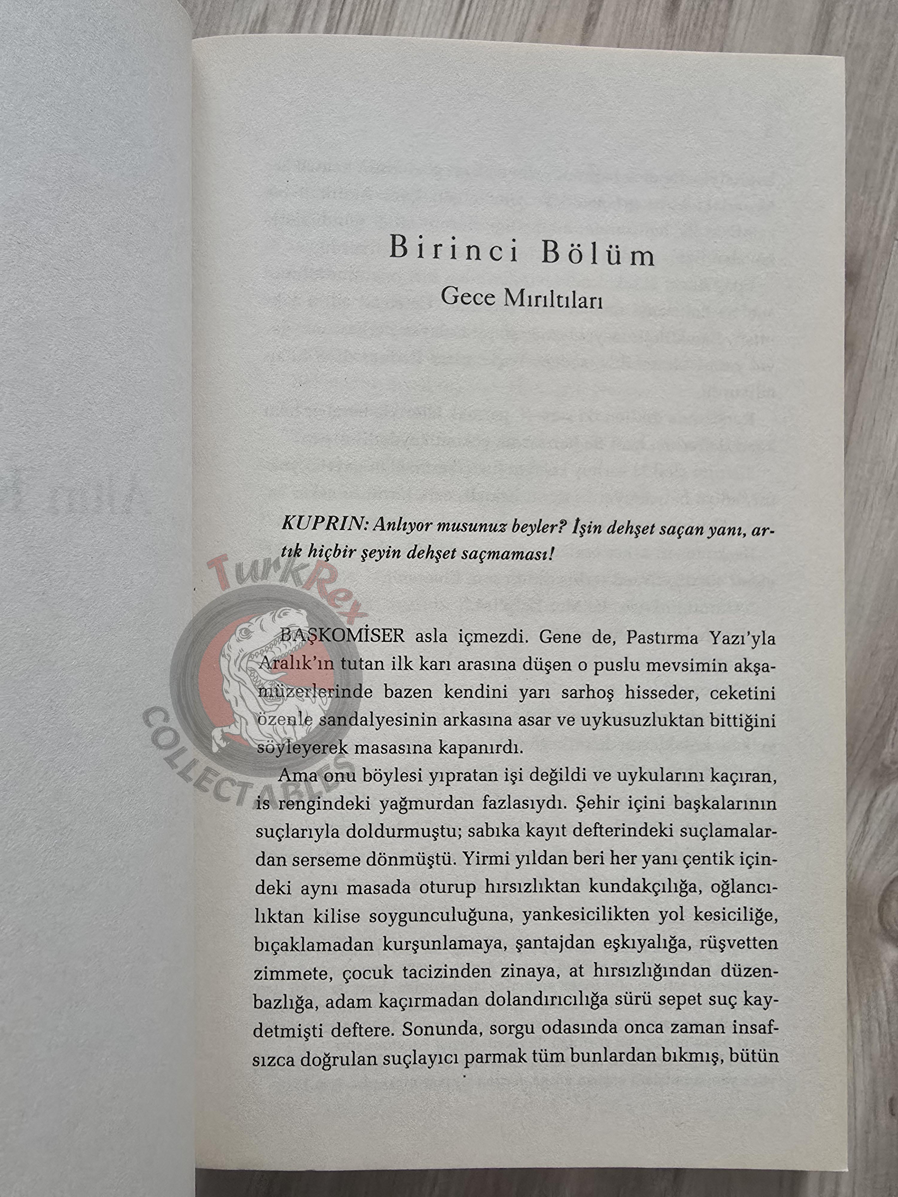 Nelson Algren – The Man with the Golden Arm 2007 Turkish Book Turkey