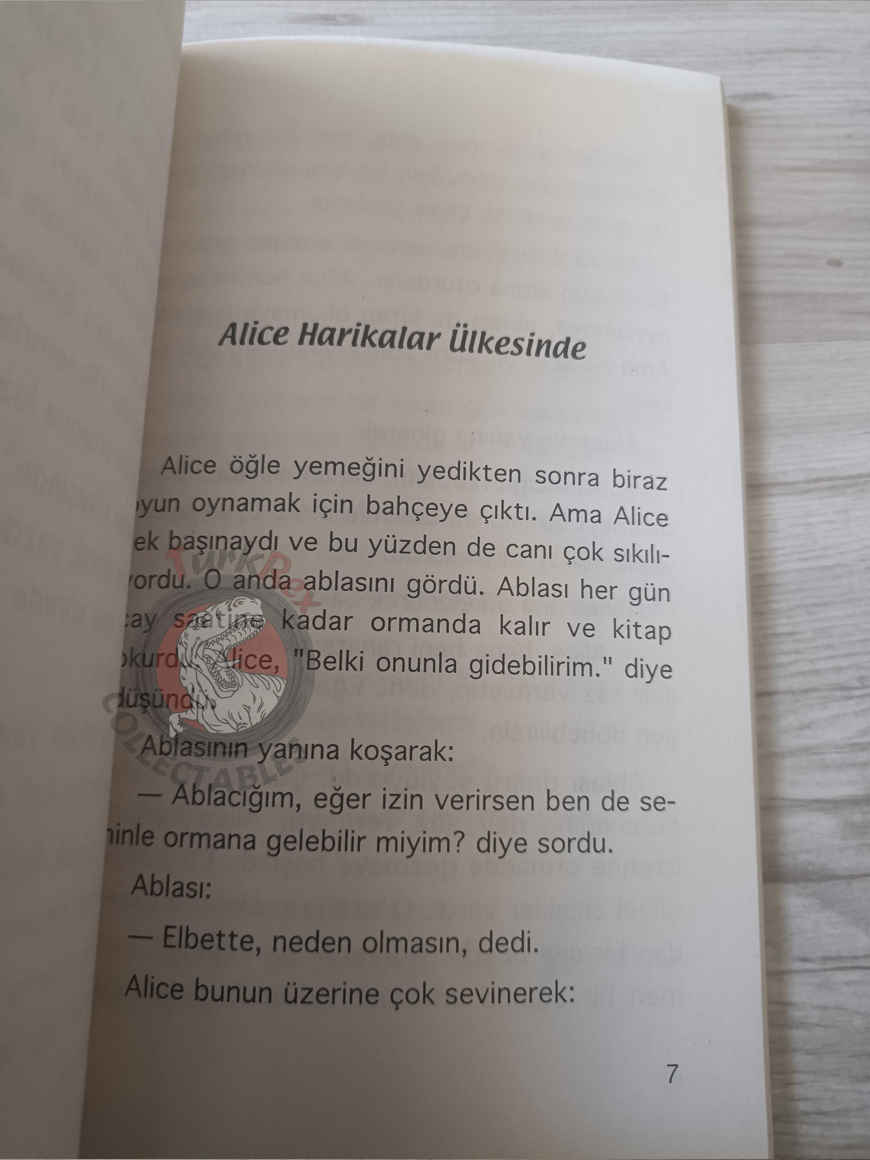 Lewis Carroll – Alice in Wonderland 2006 Turkish Book Turkey