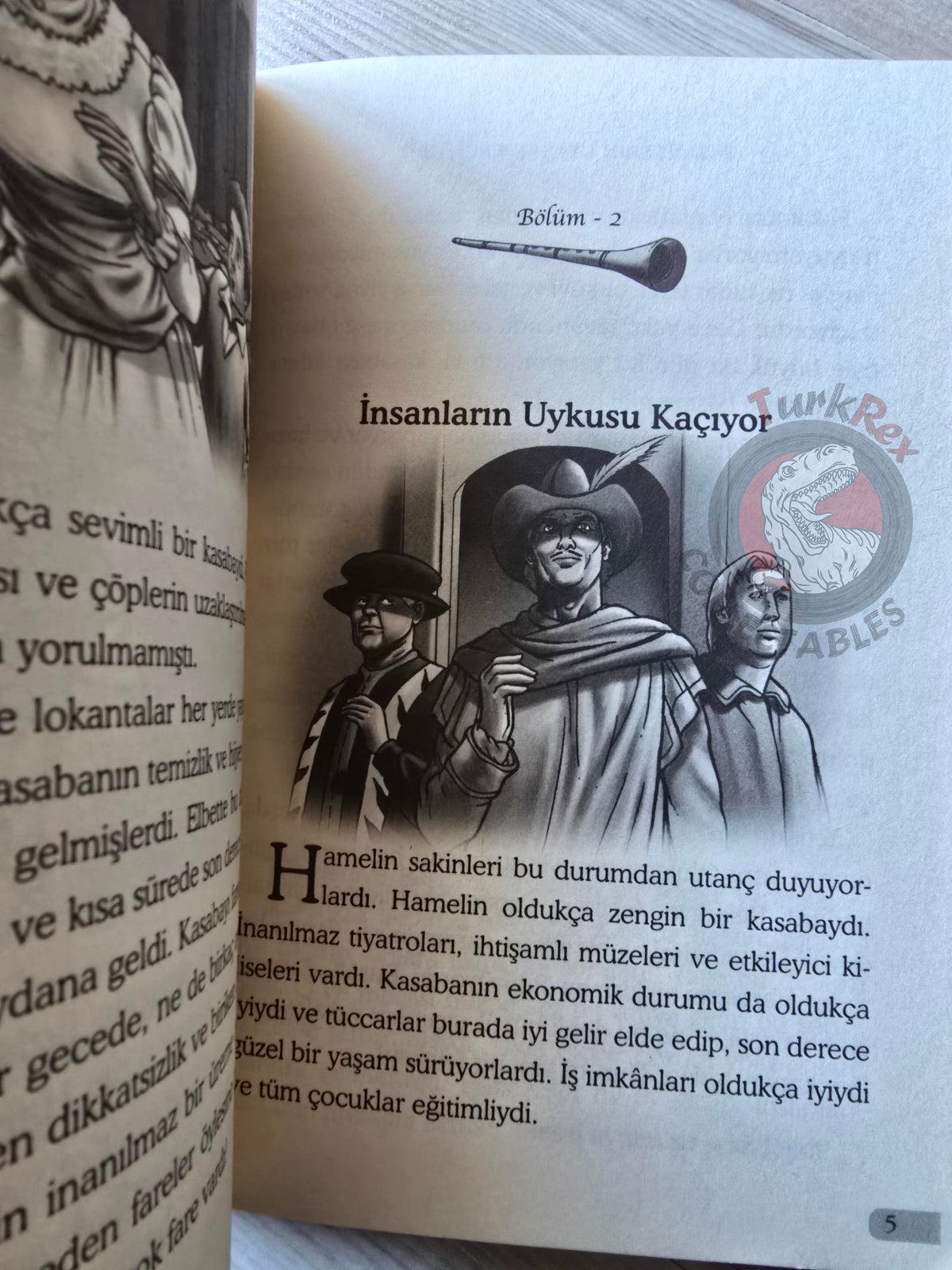 Grimm Brothers – Pied Piper of Hamelin 2012 Turkish Book Turkey Illustrated