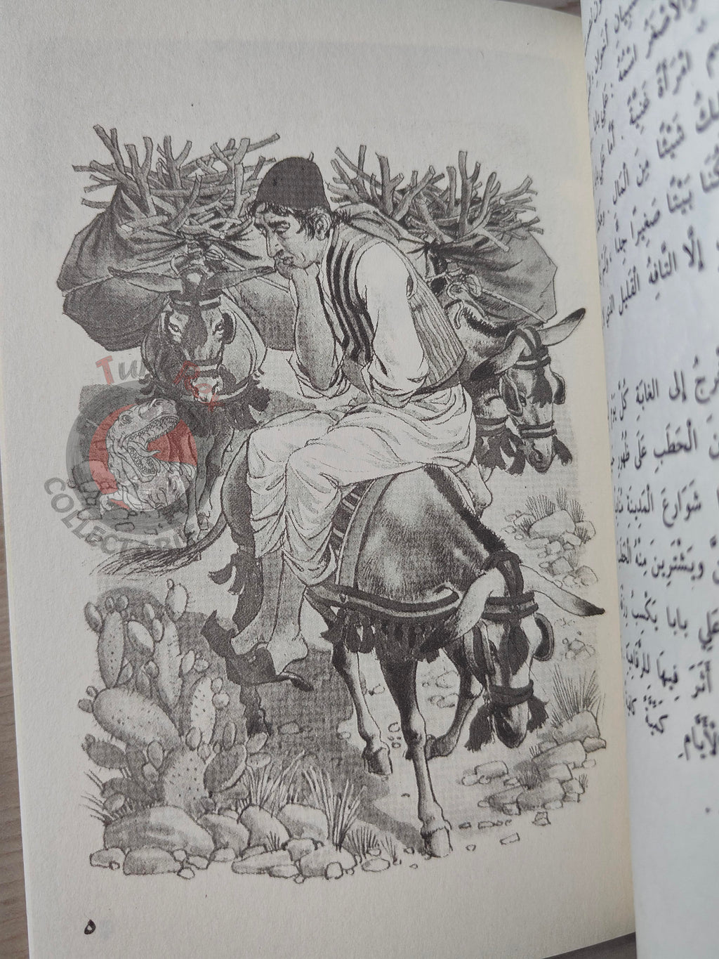 Ali Baba and the Forty Thieves 2000s Arabic Book Turkey 1001 Nights Illustrated