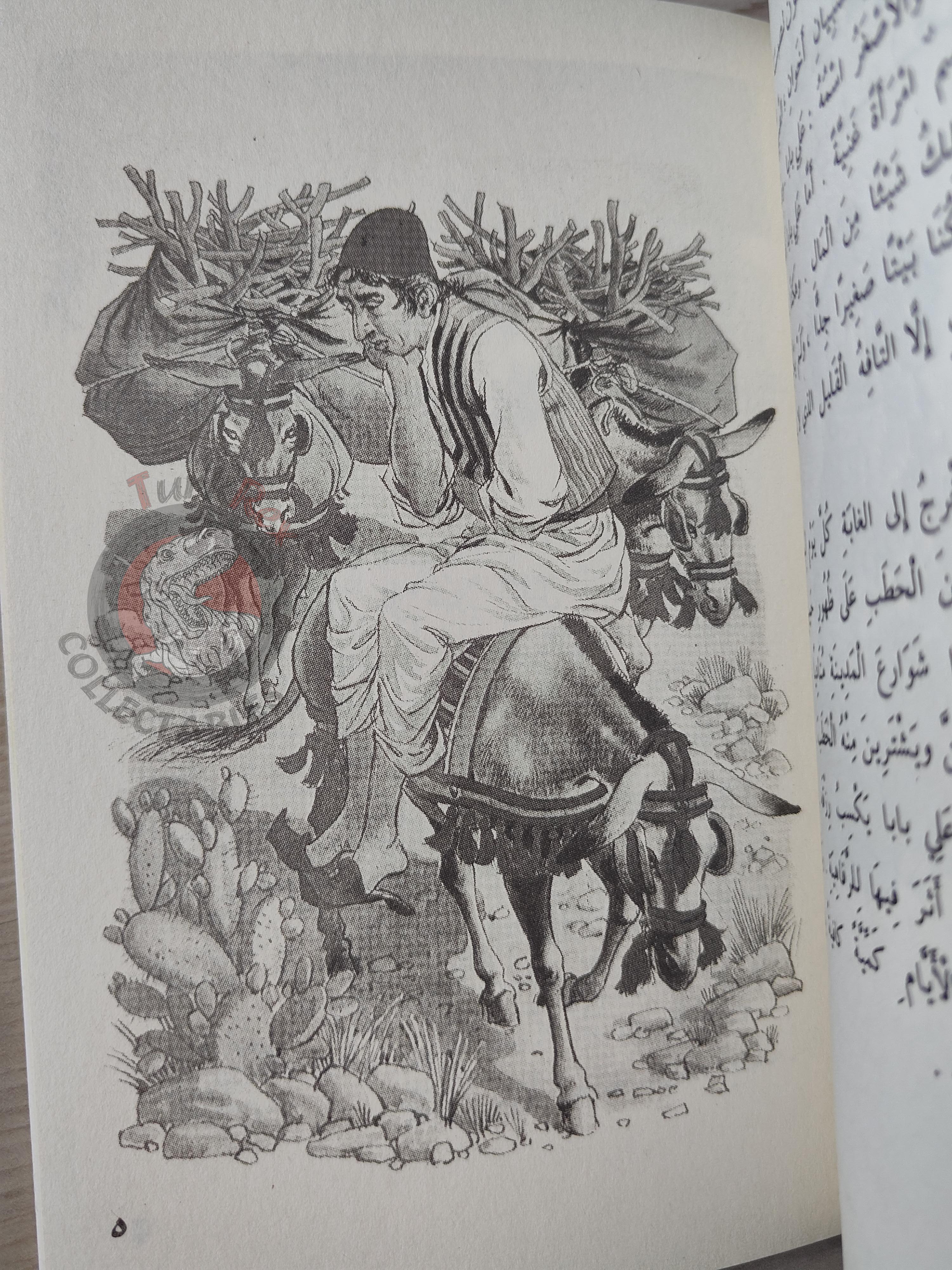 Ali Baba and the Forty Thieves 2000s Arabic Book Turkey 1001 Nights Illustrated