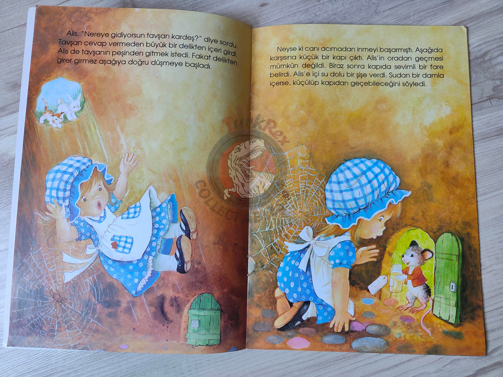 Lewis Carroll – Alice in Wonderland 2006 Turkish Book Turkey Illustrated Constanza
