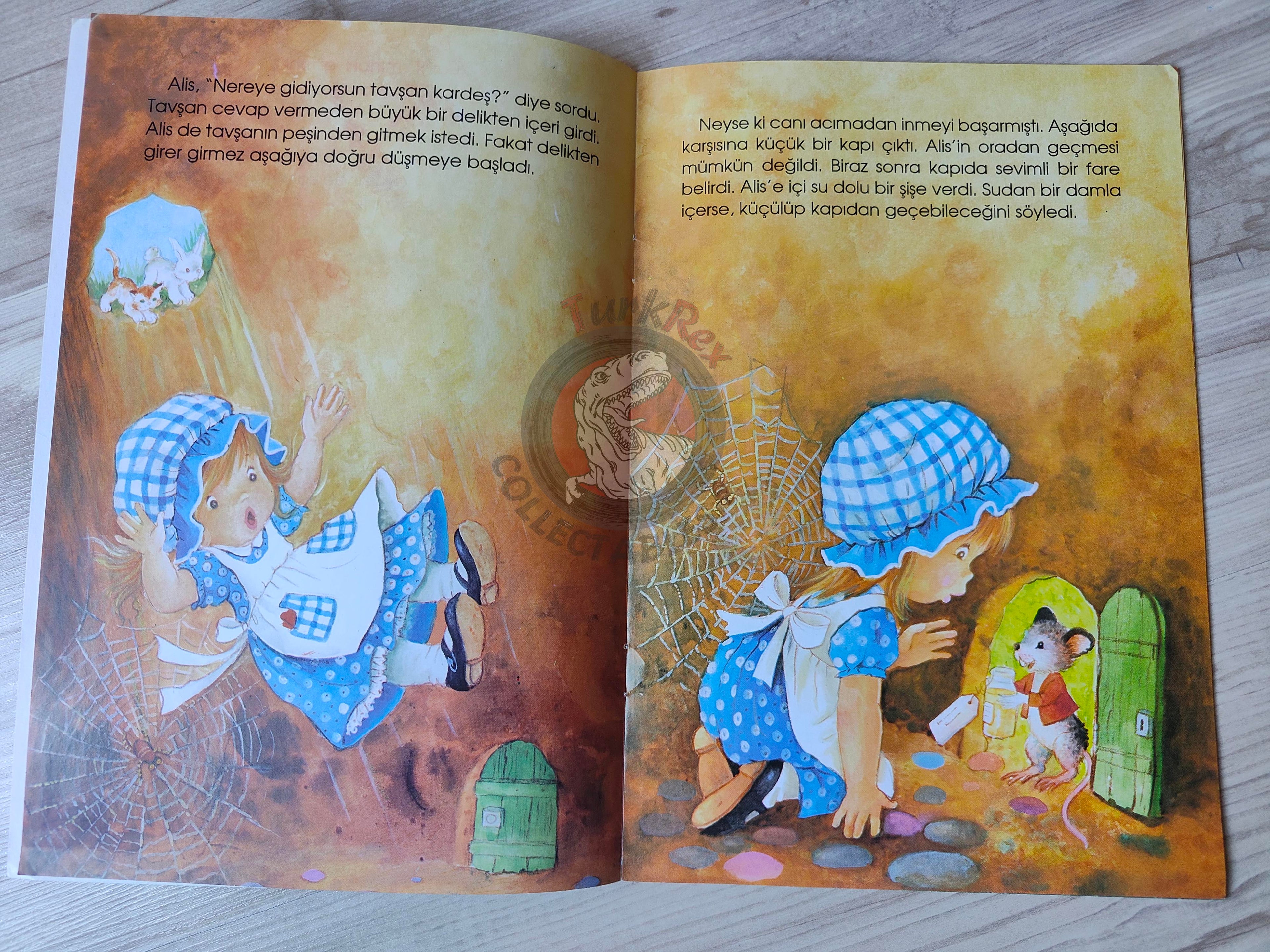 Lewis Carroll – Alice in Wonderland 2006 Turkish Book Turkey Illustrated Constanza