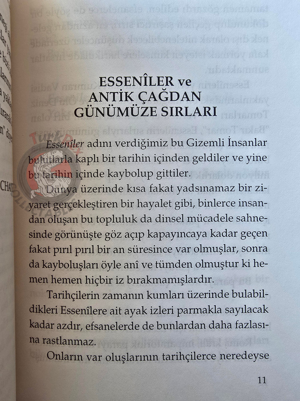 Robert Chaney – The Essenes and Their Ancient Mysteries 1996 Turkish Book Turkey