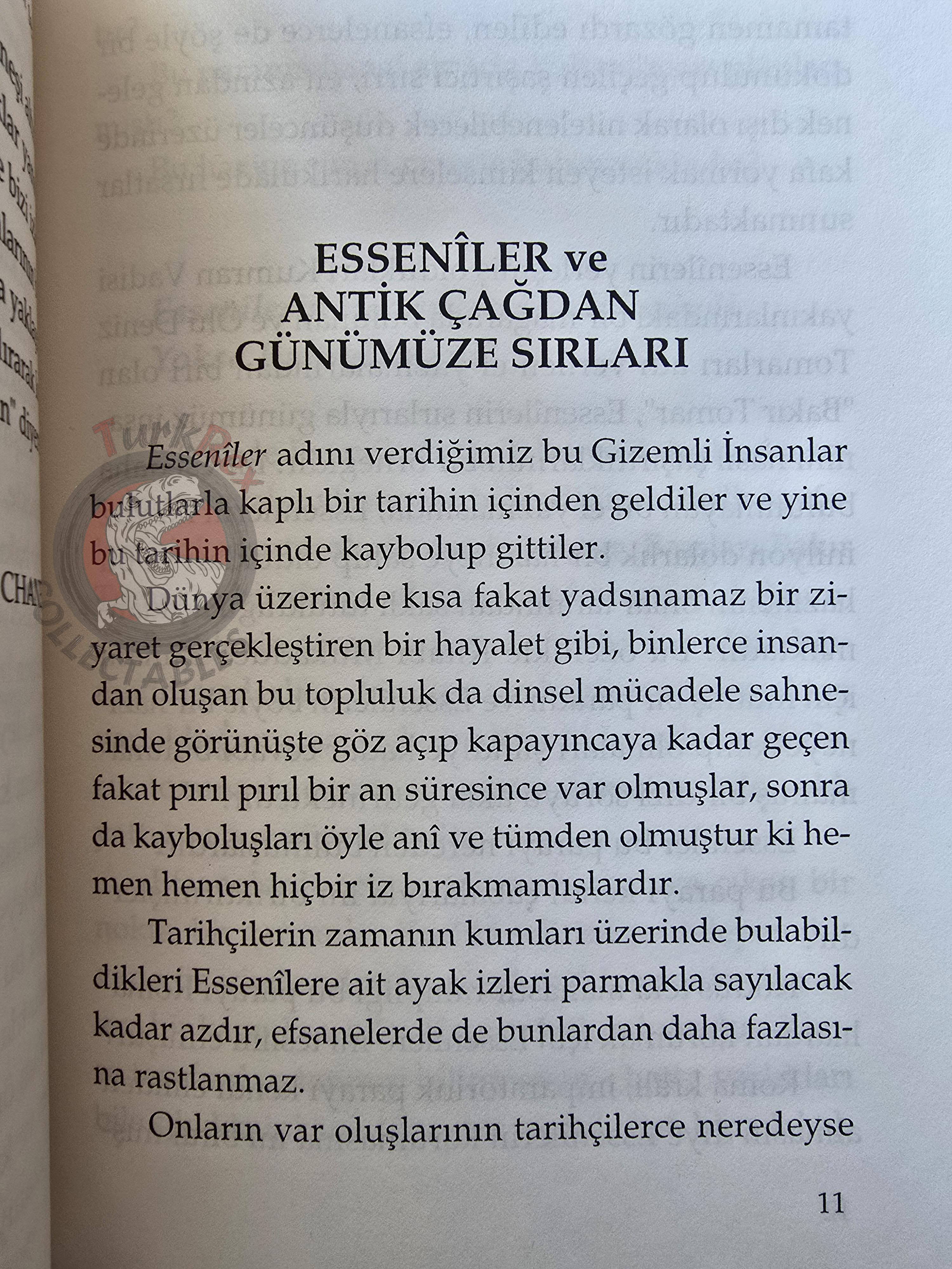 Robert Chaney – The Essenes and Their Ancient Mysteries 1996 Turkish Book Turkey