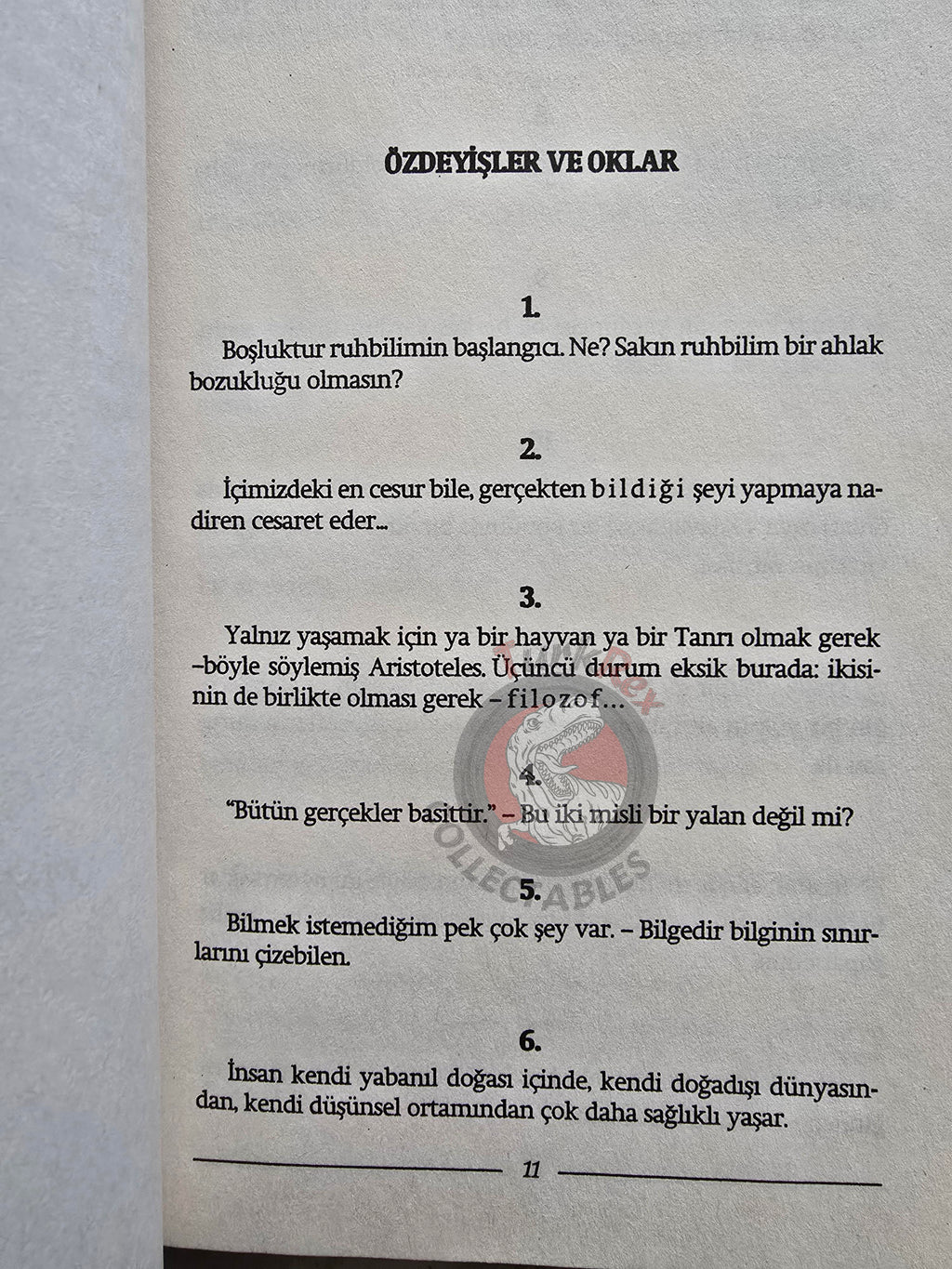 Friedrich Nietzsche – Twilight of the Idols 2009 Turkish Book Turkey